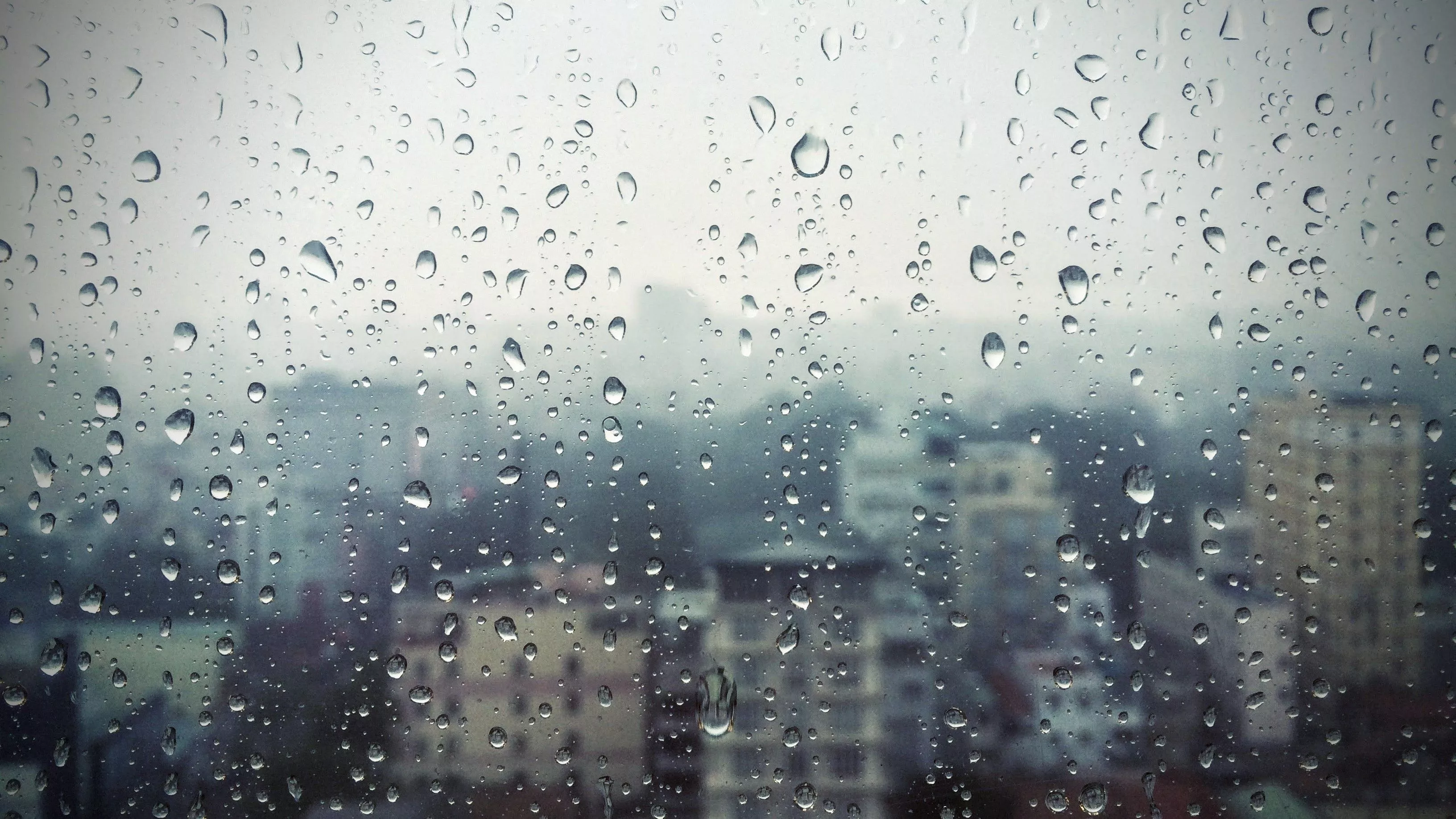 rain, window, glass Wallpaper, HD City
