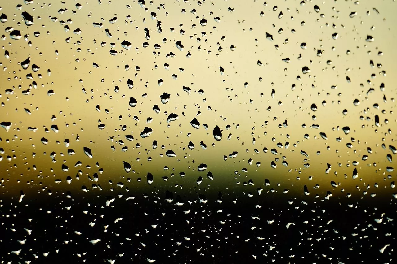 Rain Window Wallpaper