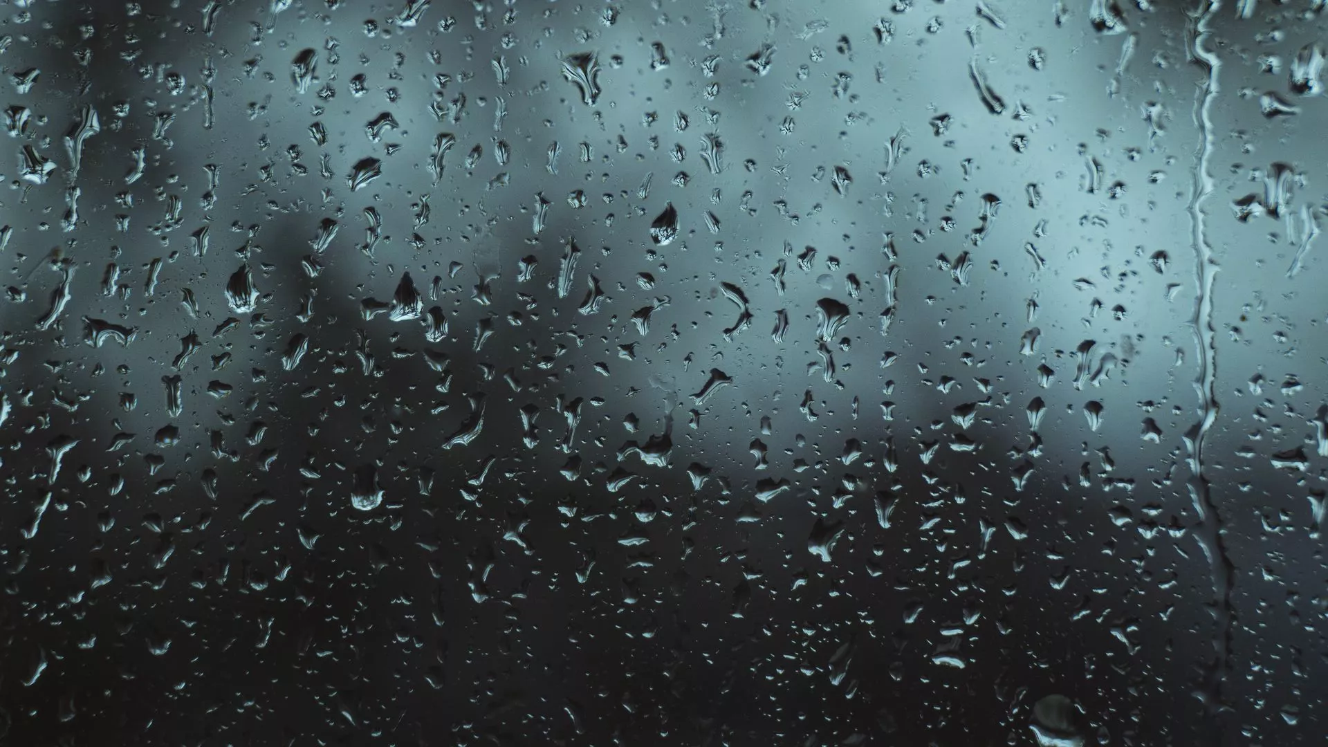 Download wallpaper 1920x1080 drops, wet