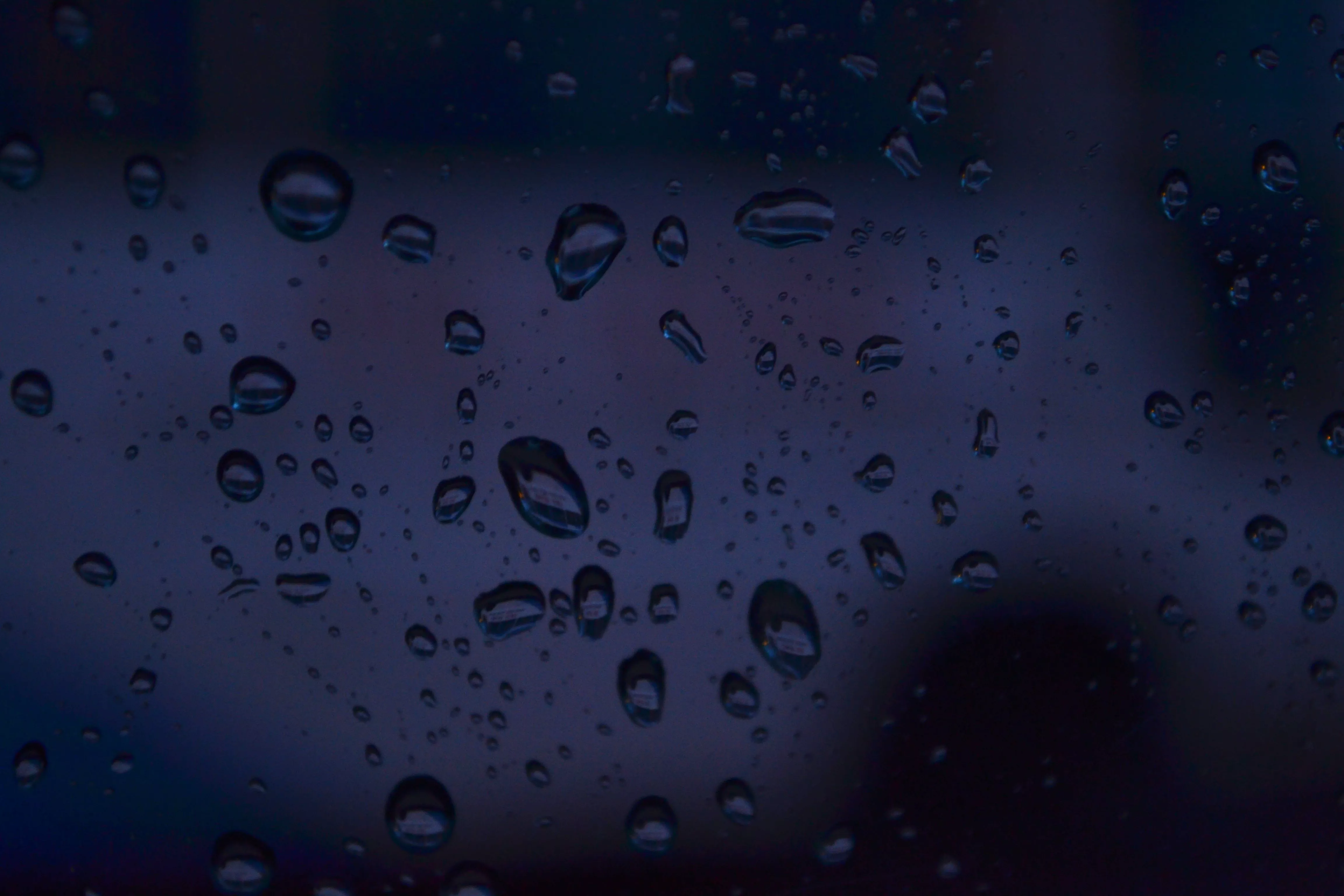 Free Image, water, drop, sky, rain