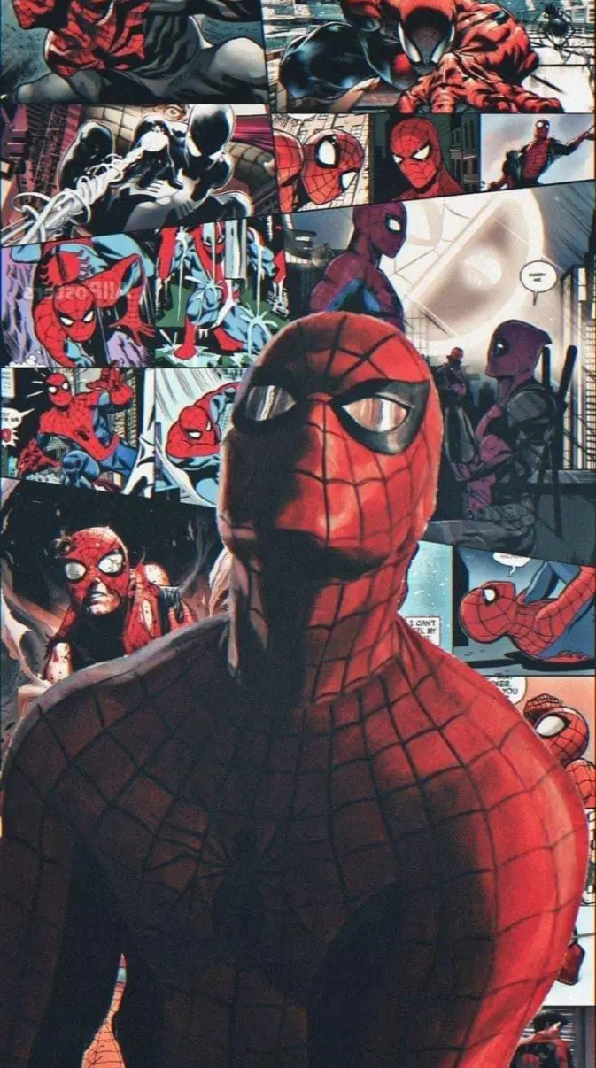 Spider Man Wallpaper Wallpaper