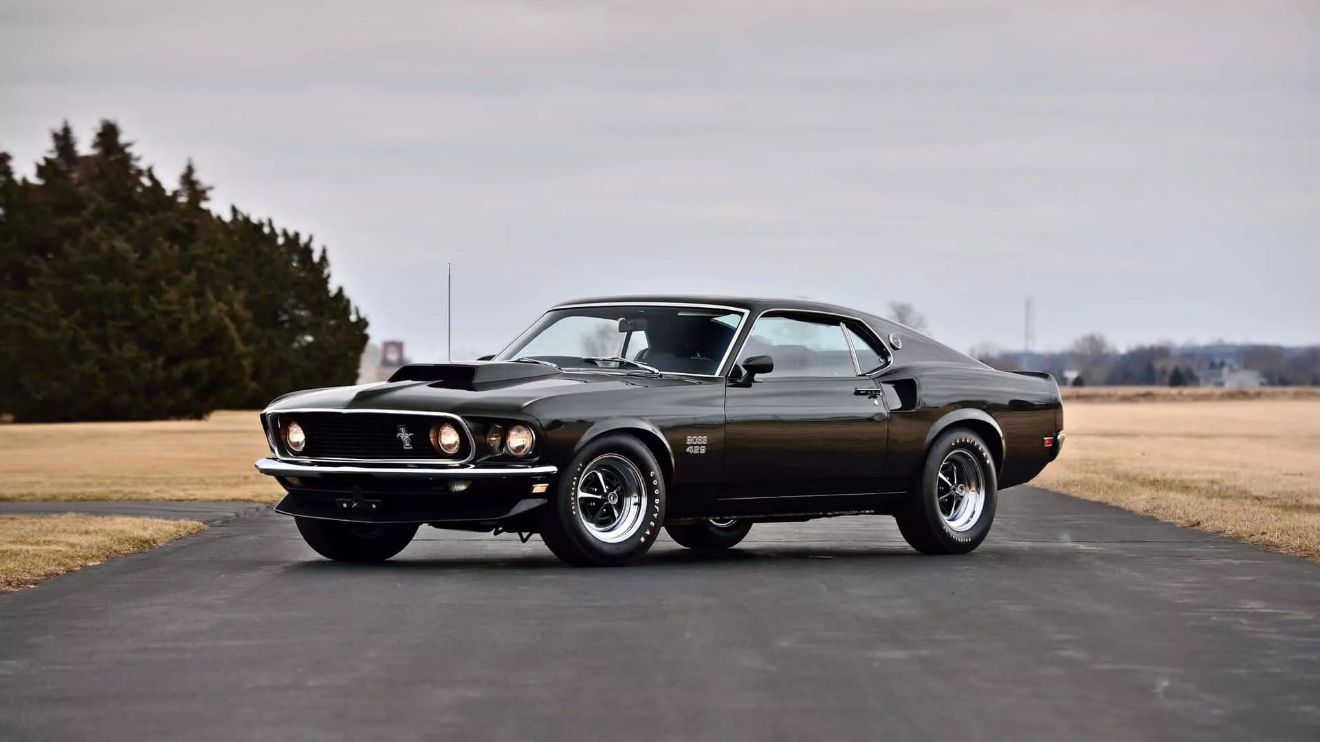 Download Powerful Ford Mustang Mach 1