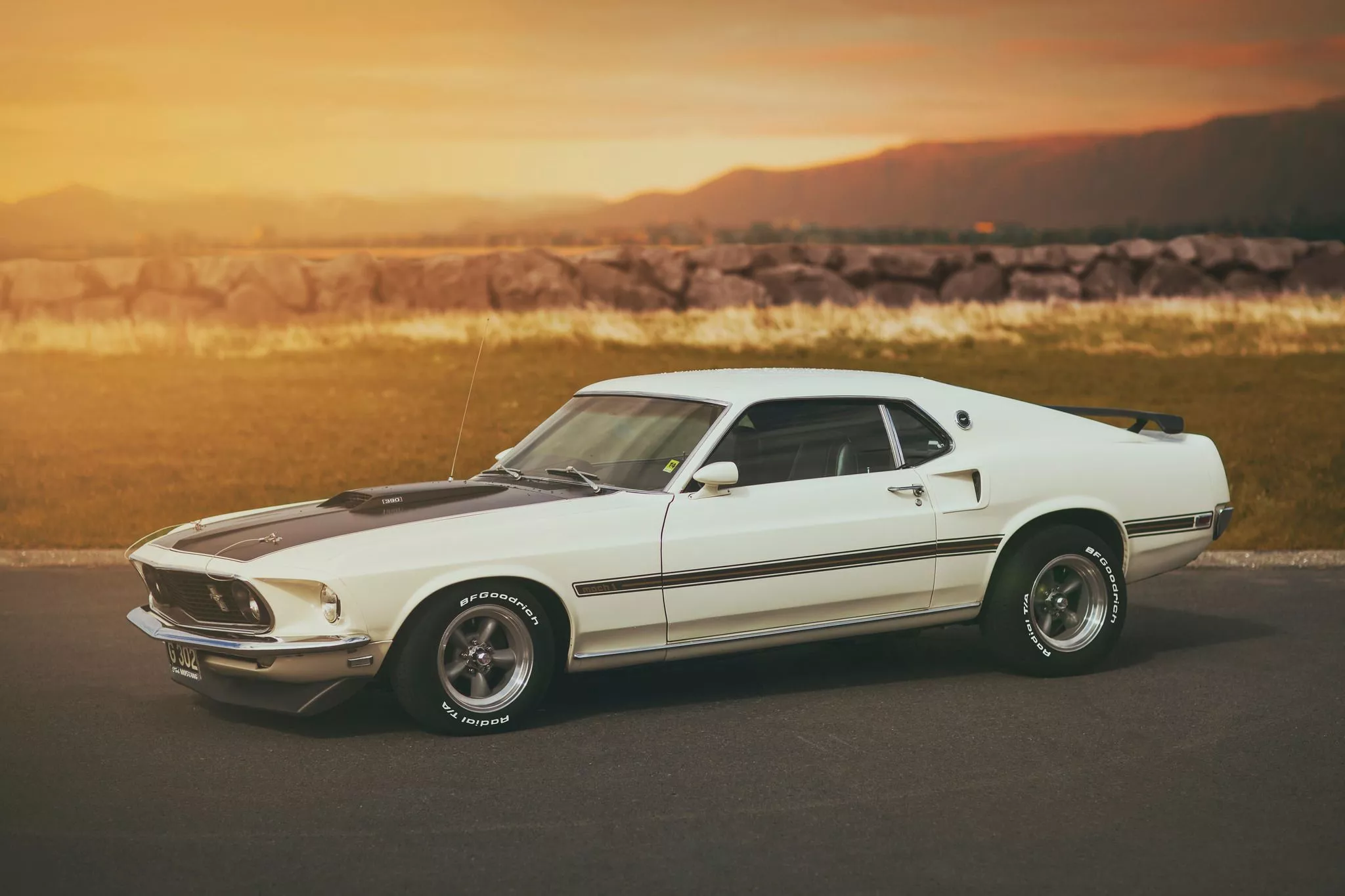 Wallpaper white, Mustang, Ford, Mustang