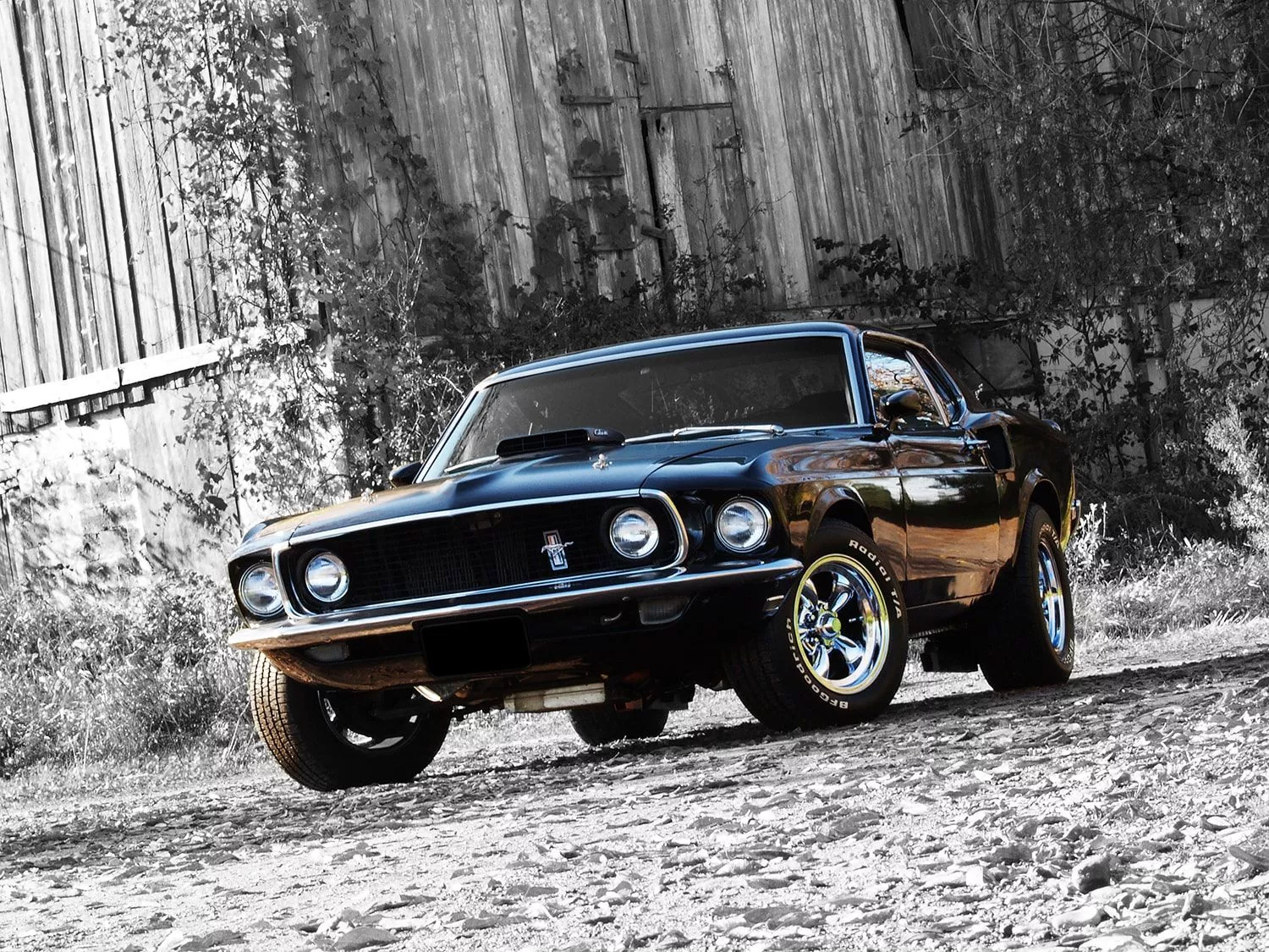 Ford Mustang 428 Mach