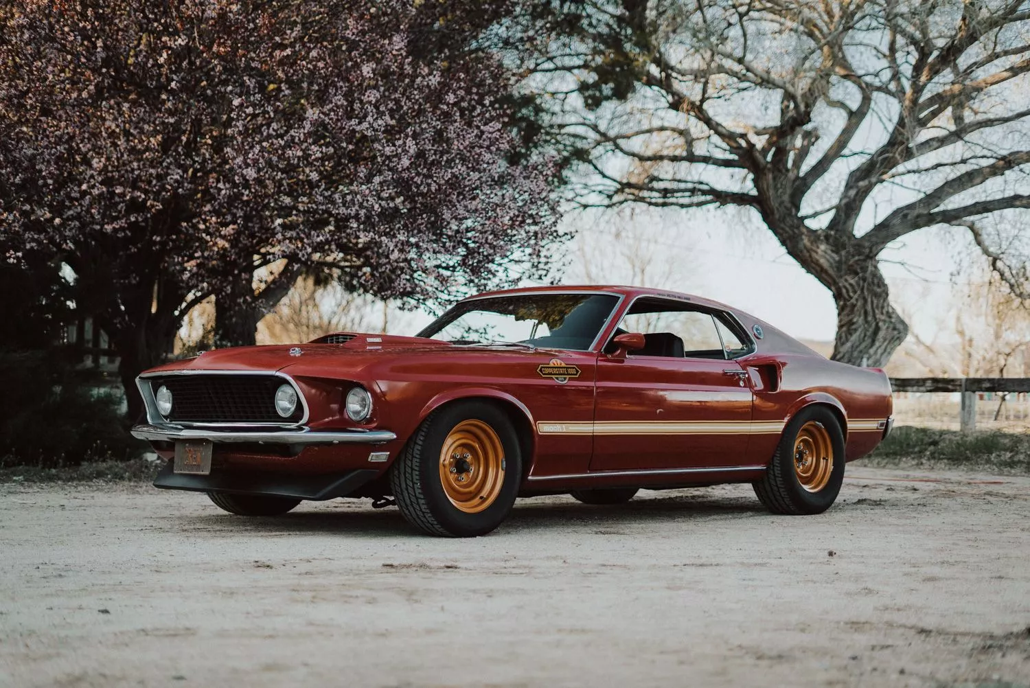SecretField Car Ford Mustang 1969 Mach