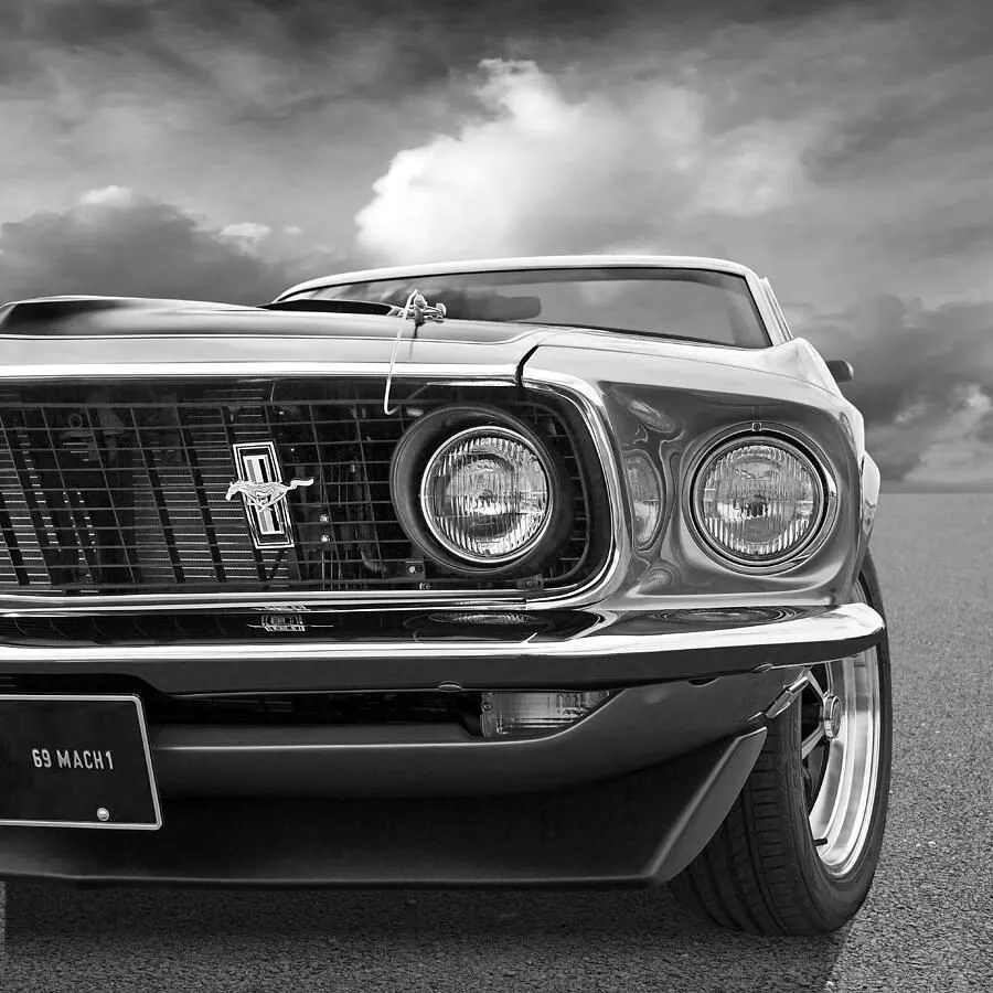 Mustang Mach 1 Black and White