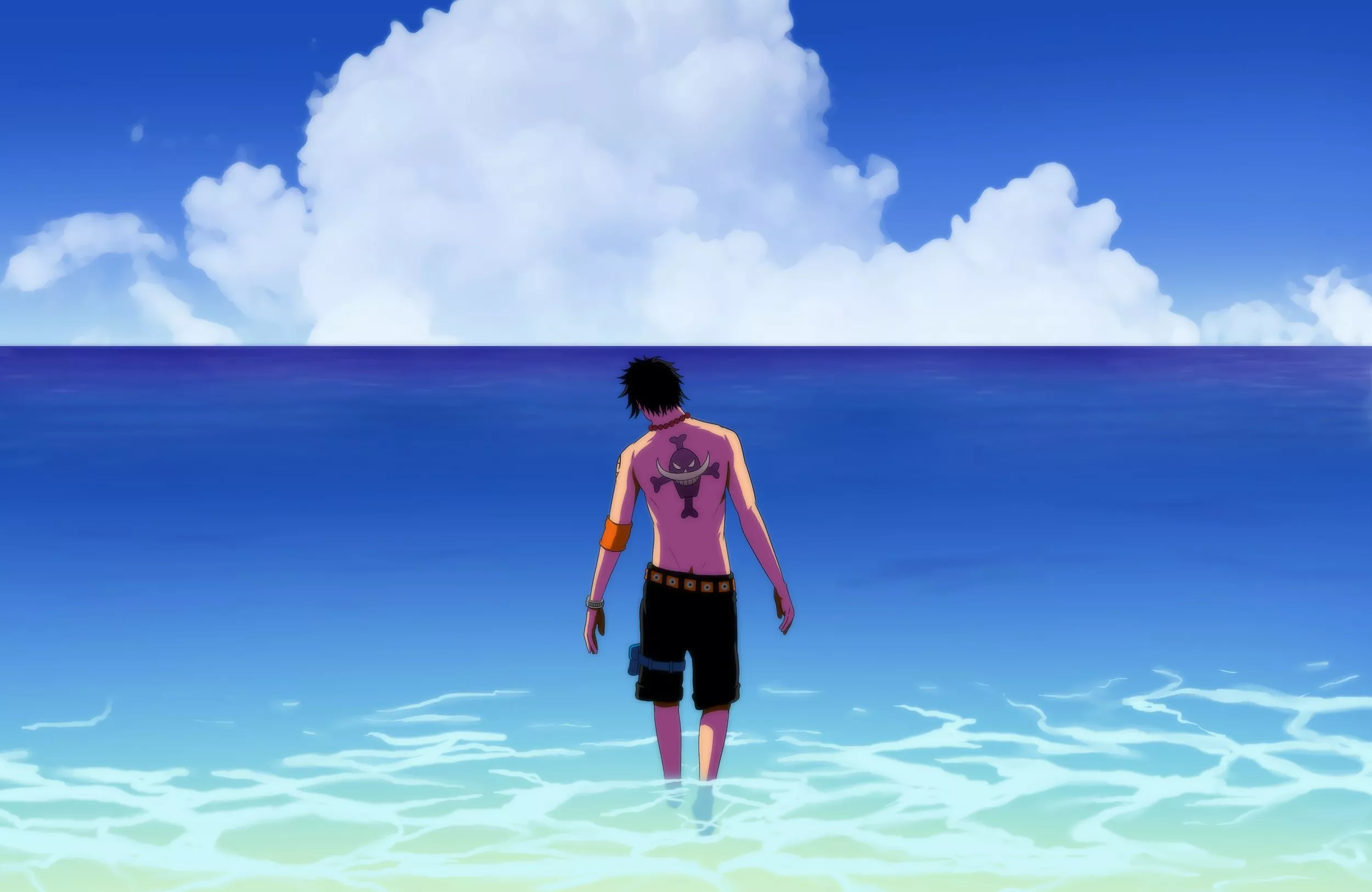 Portgas D. Ace HD Wallpaper: Embracing
