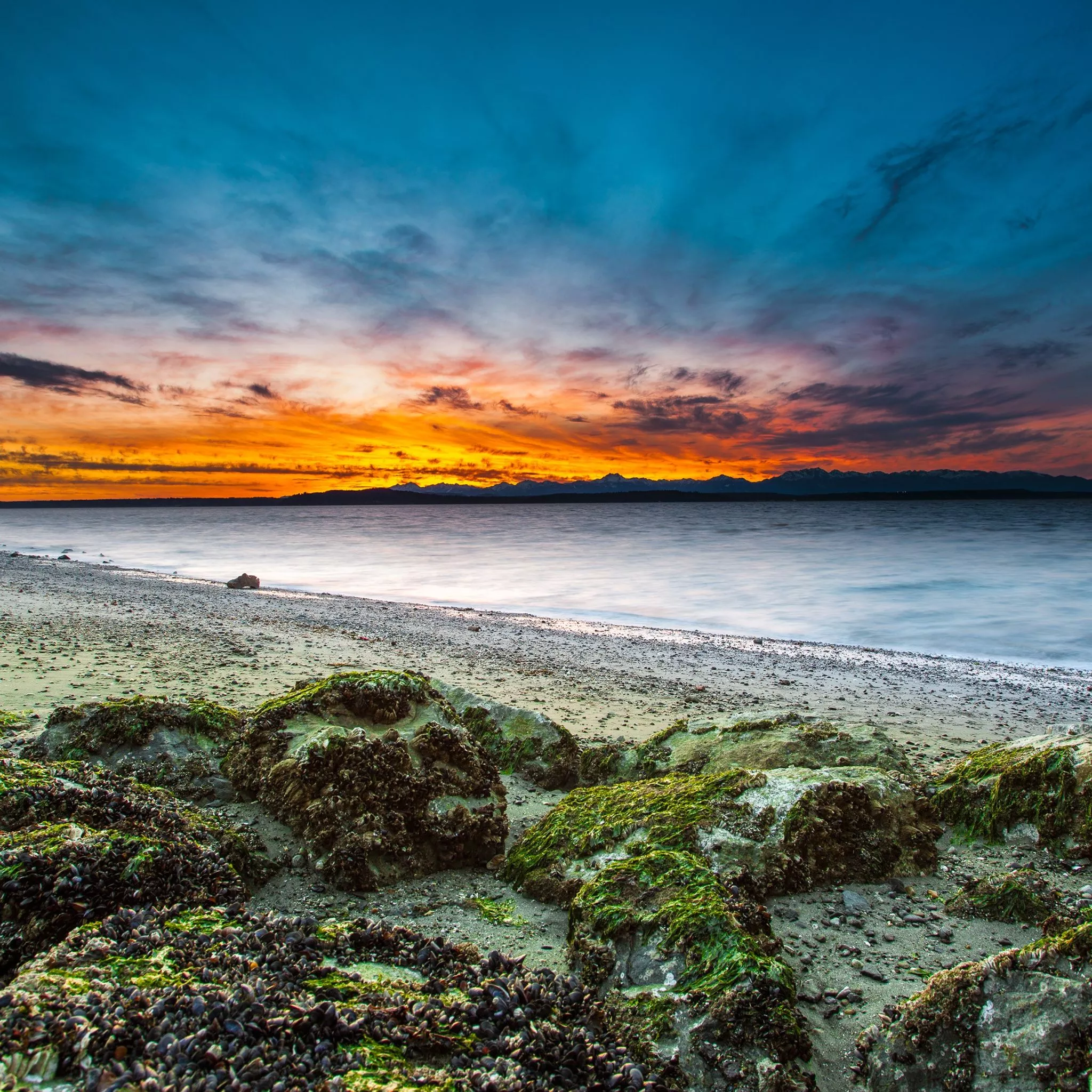 Alki Beach Wallpaper 4K, West Seattle