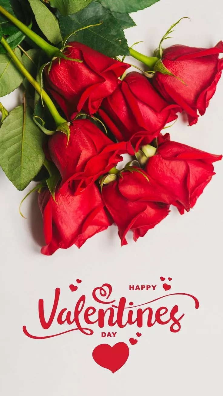 Valentine's Day Wishes 2024