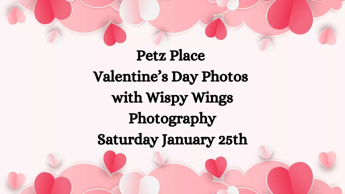 Valentines Day Photo Event, 118
