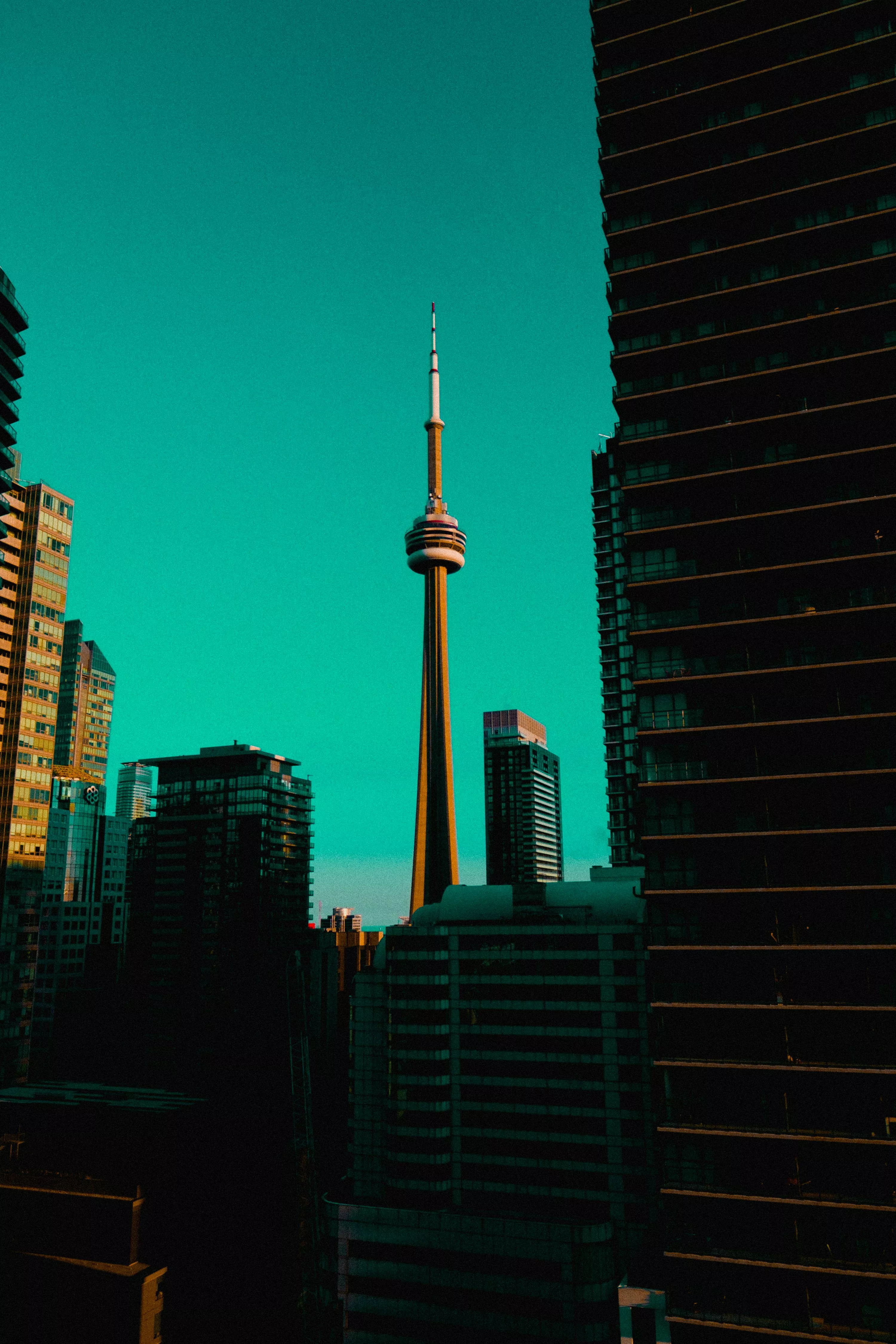 Beautiful Cn Tower Picture