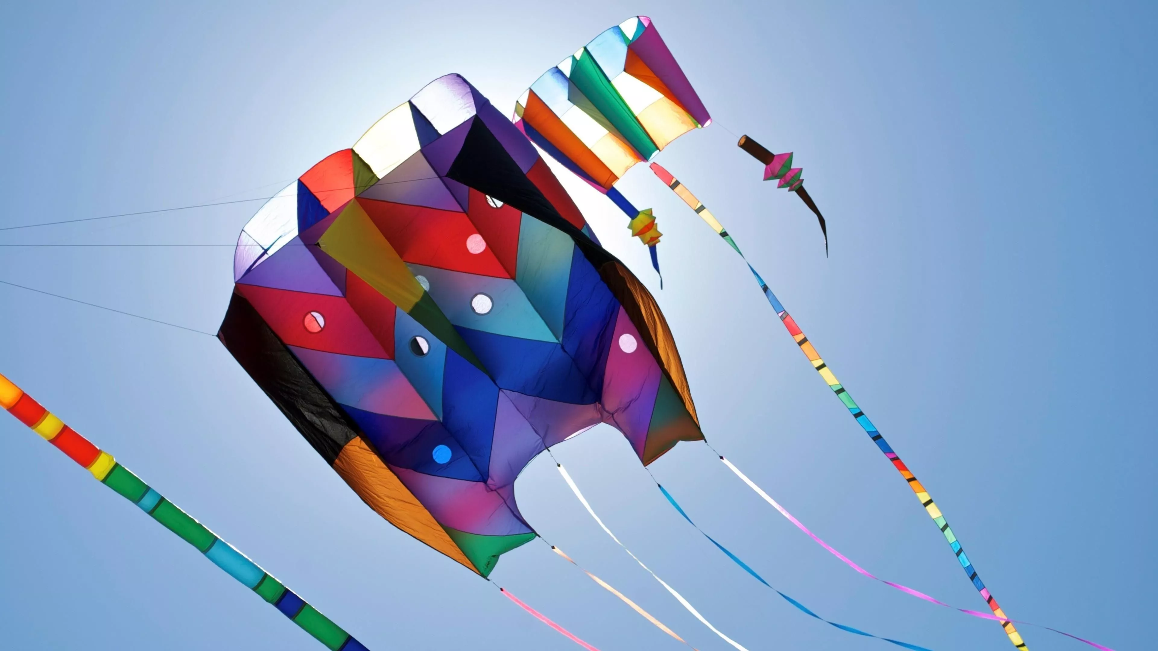 Kite Flying Wallpaper
