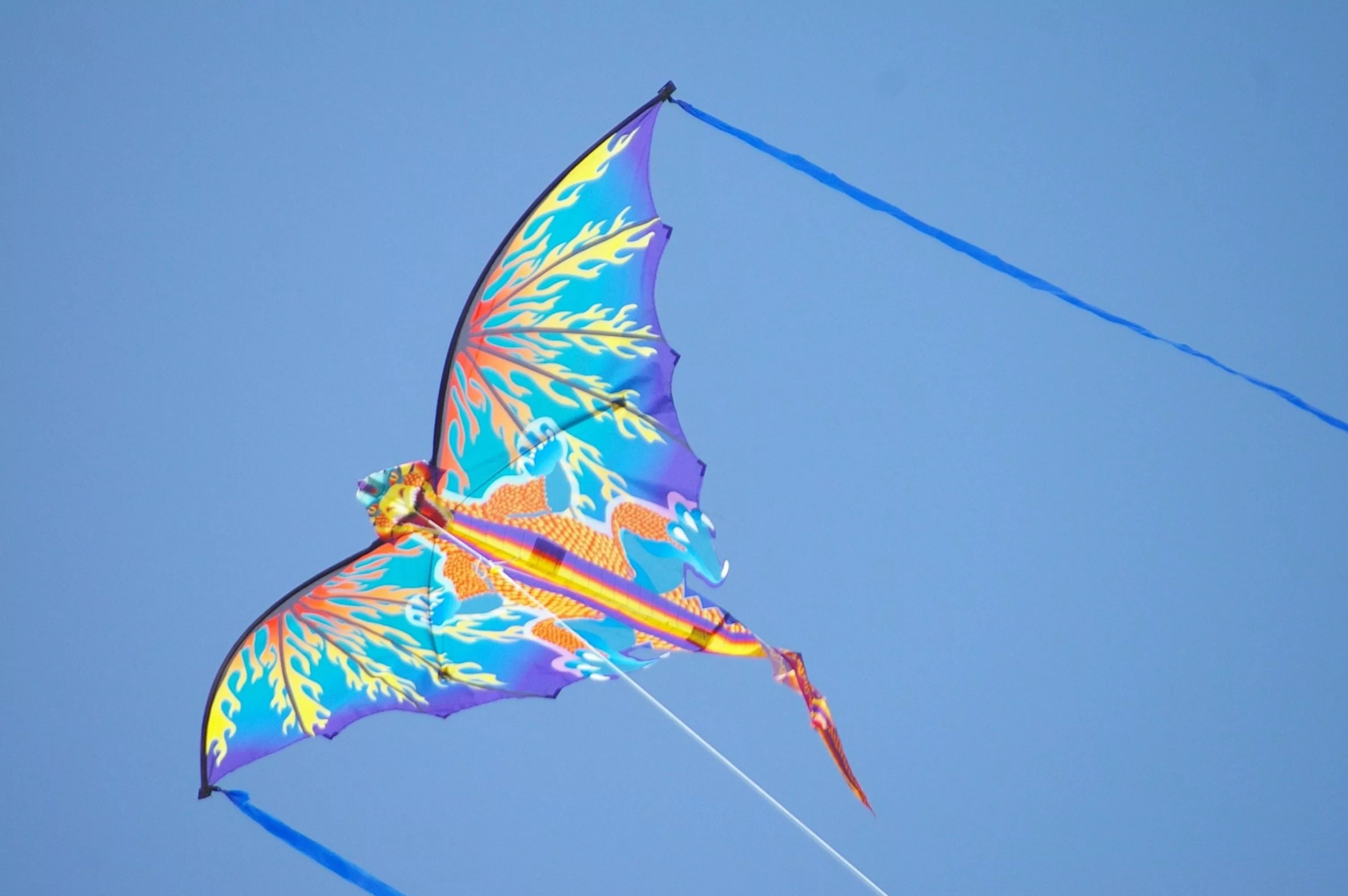 Kite Flying Wallpaper