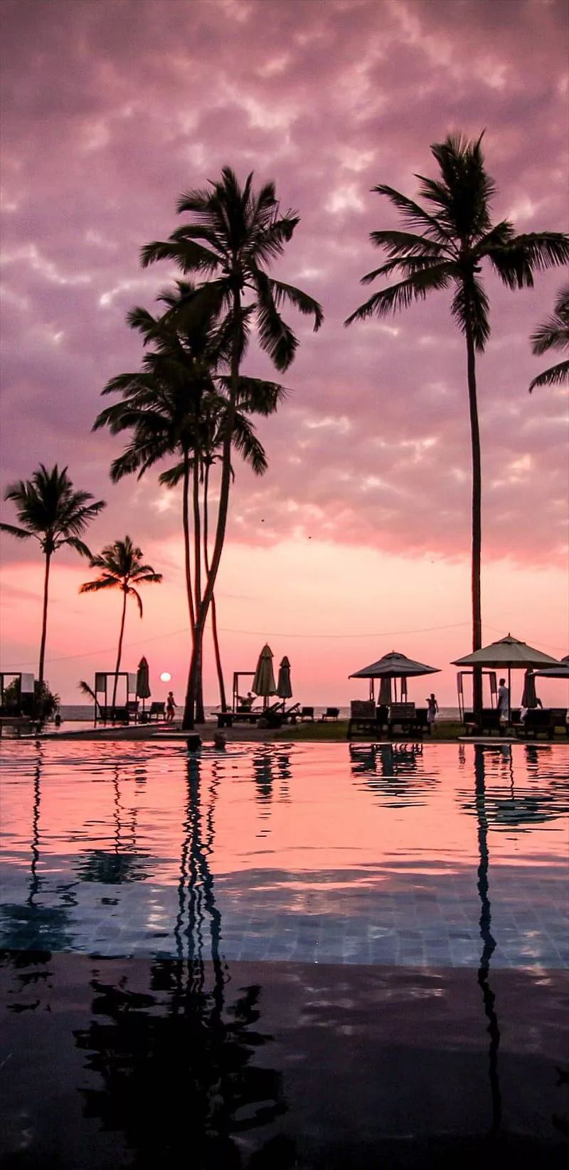 cute, HD phone wallpaper