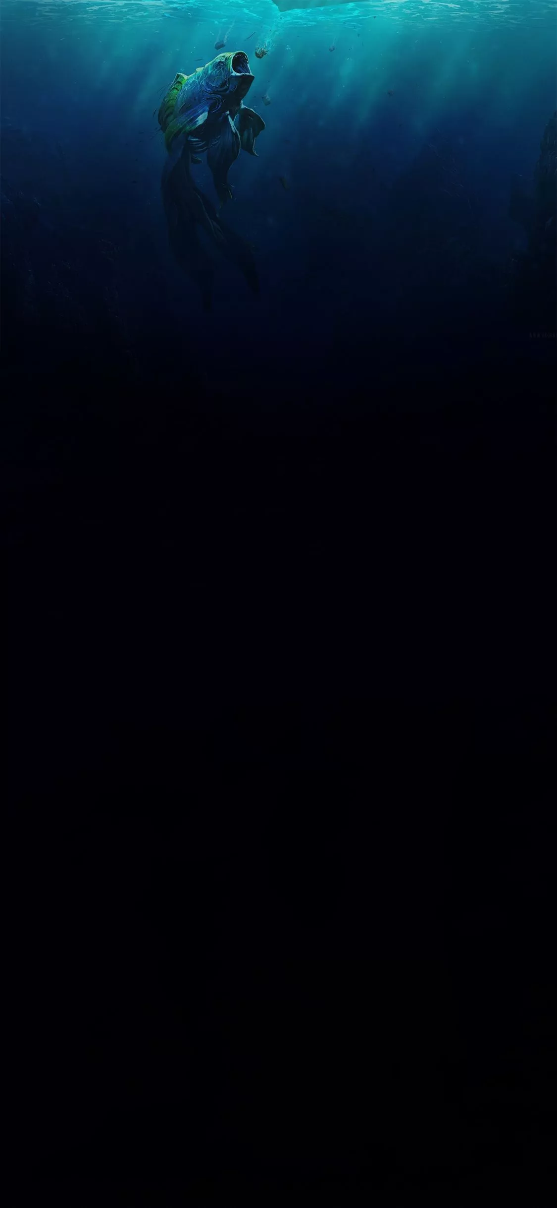 fish wallpaper iphone