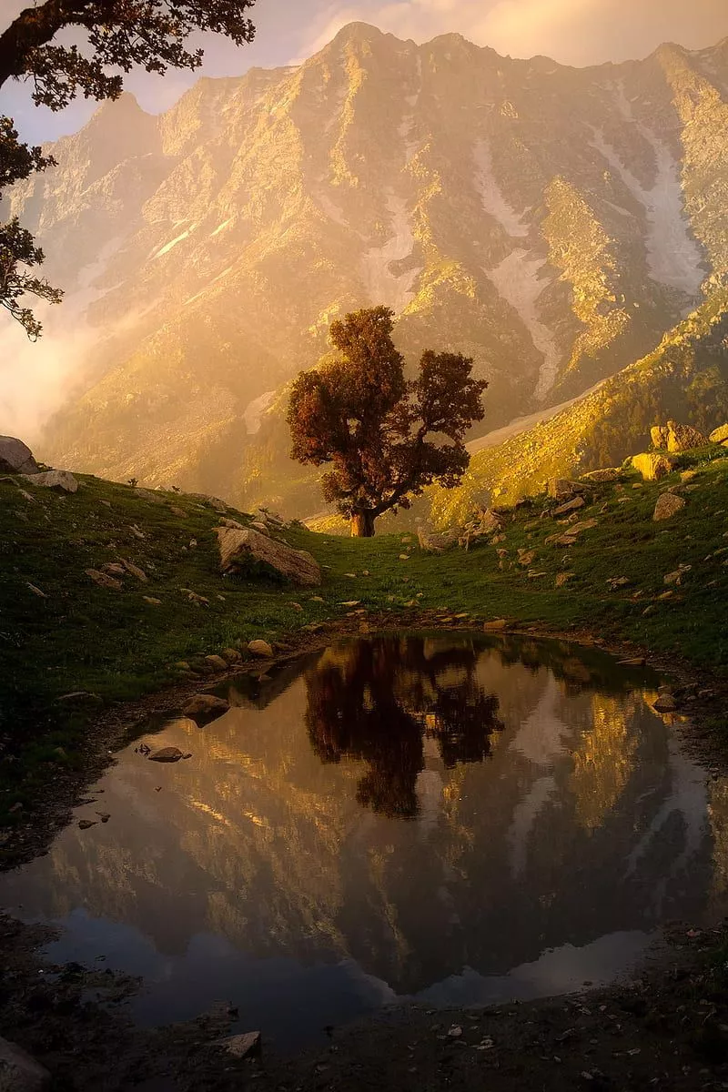 Nature, landscape, portrait display