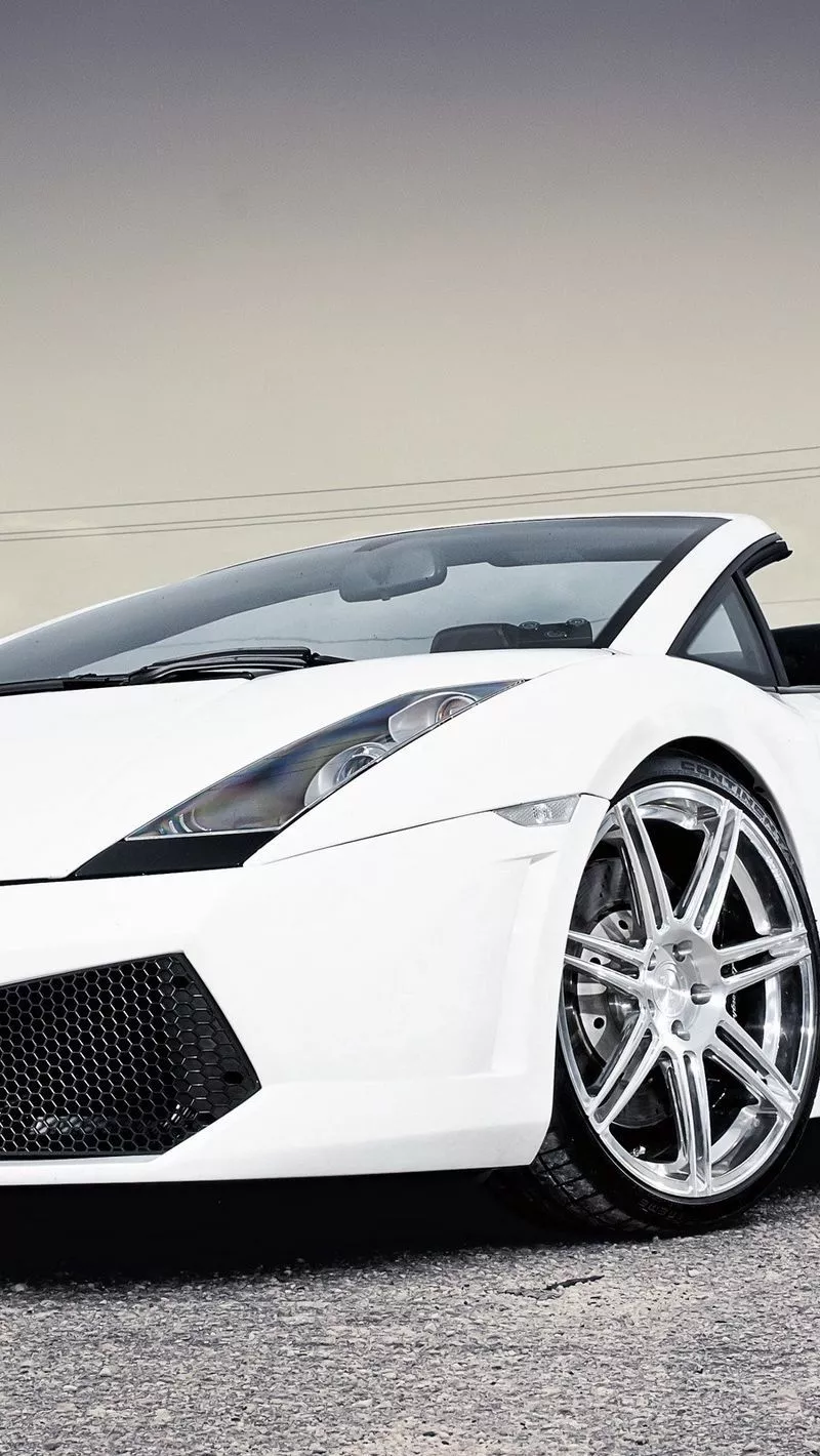 Download wallpaper 800x1420 lamborghini