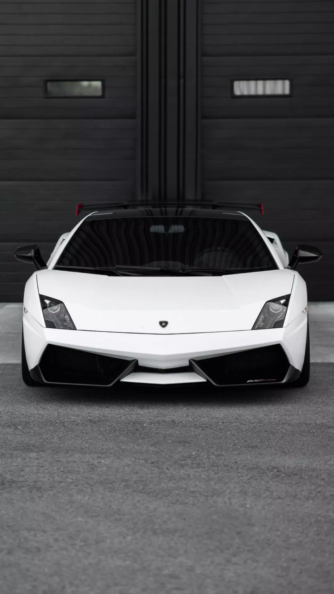 White Lamborghini Wallpaper