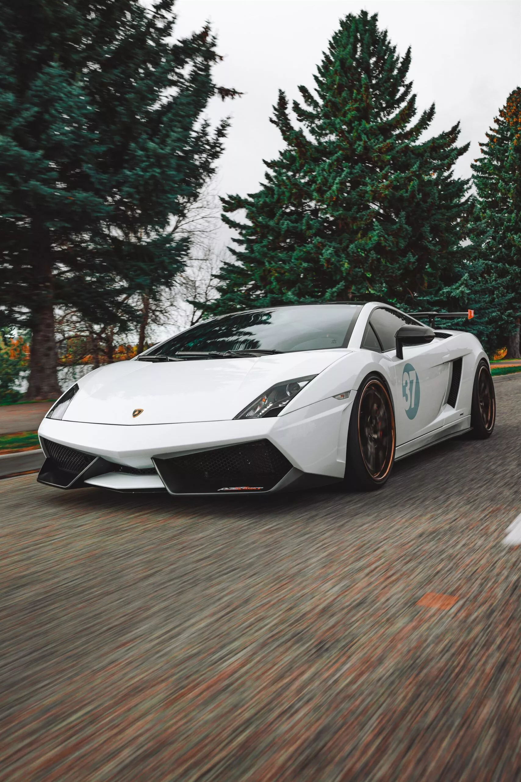 ANRKY S3 X1. Lamborghini Gallardo LP