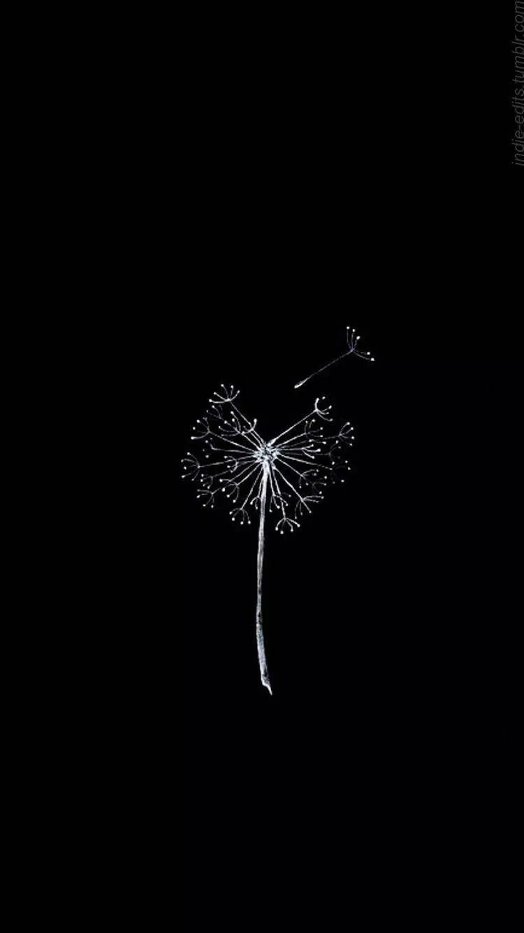 Download free Simple Black Dandelion