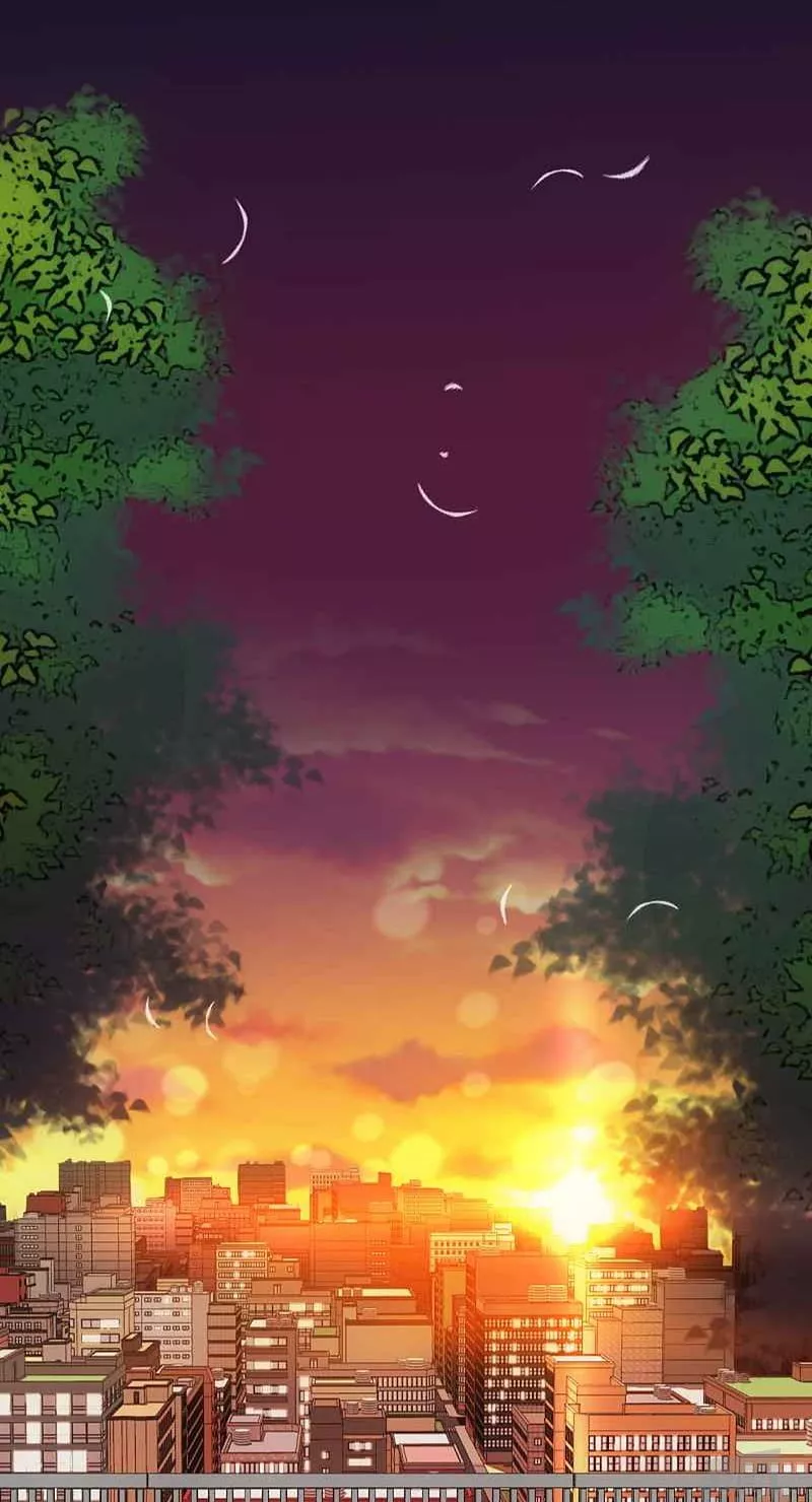 Sunset city view, sunset anime city