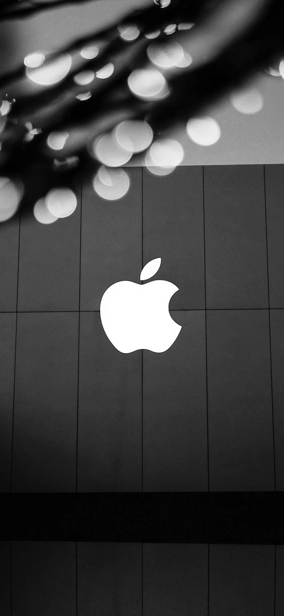 Apple Logo Bw Dark