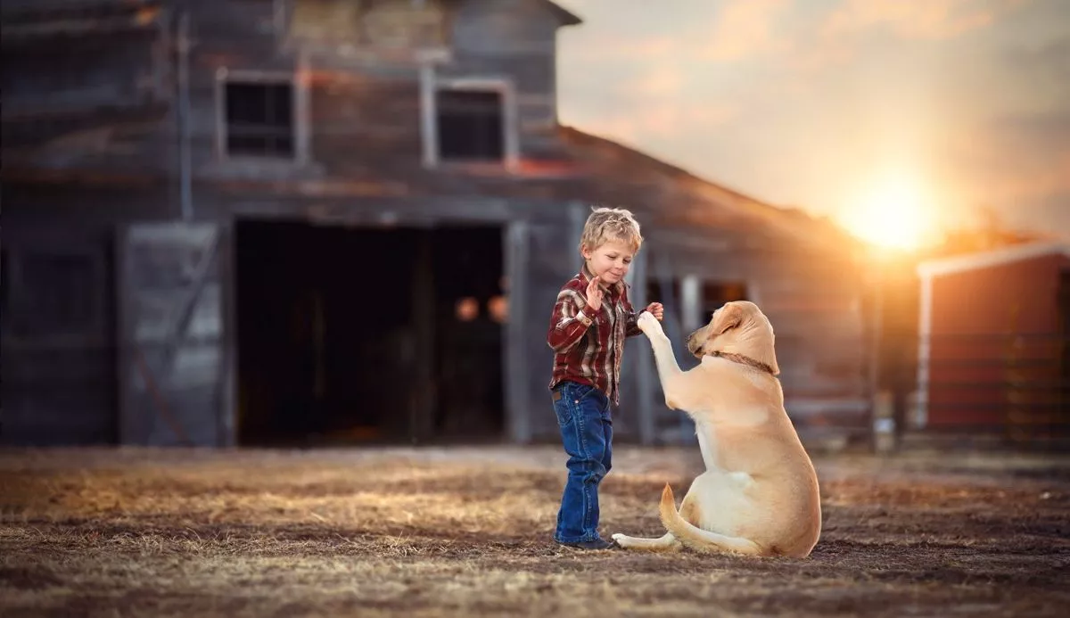 National High Five Day