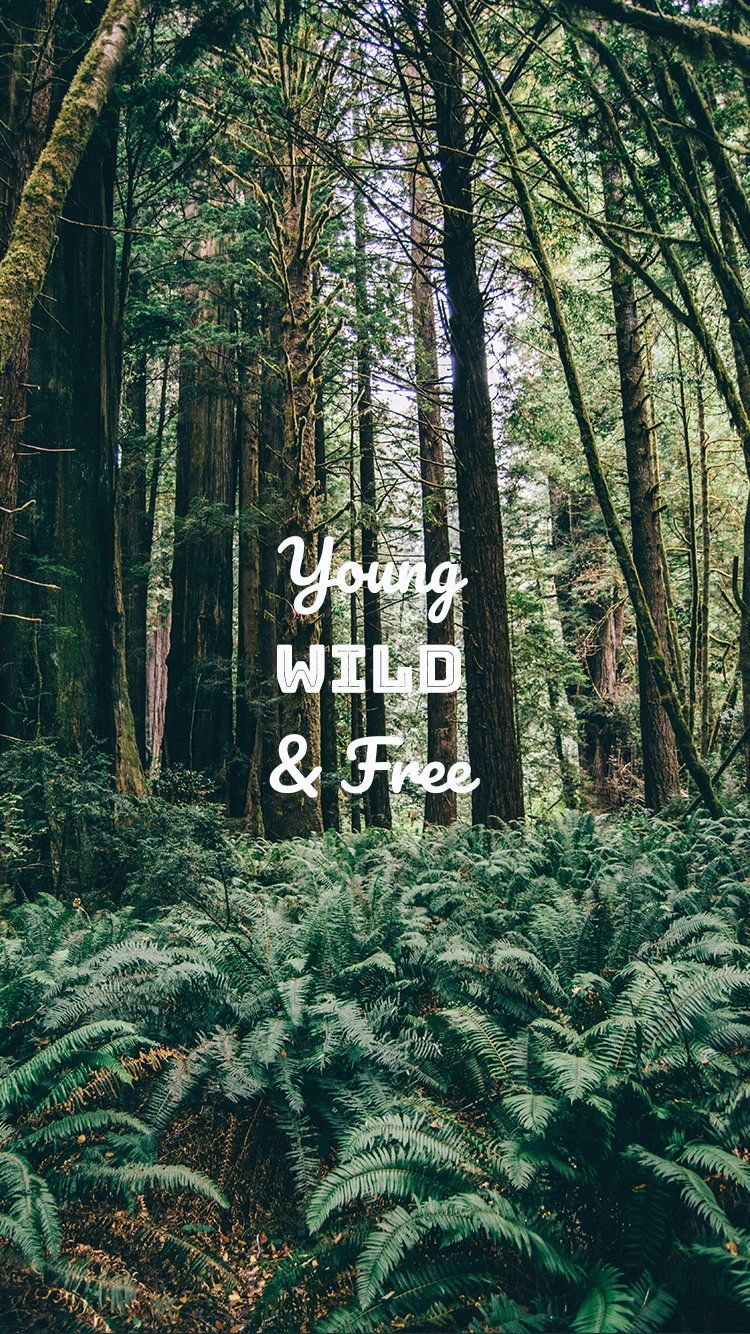 Easy Wallpaper Ideas for Your Phone