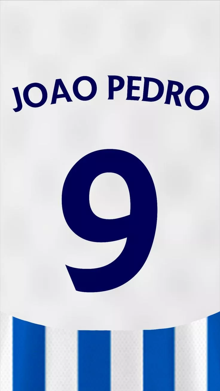 Brighton Home Kit 2023 2024 Wallpaper