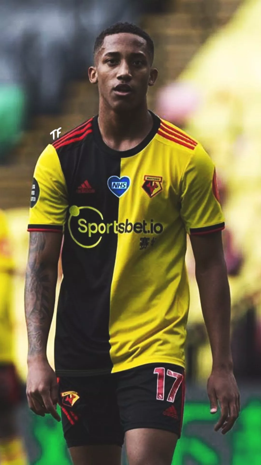 TF Sport Edit (desativado!)ão