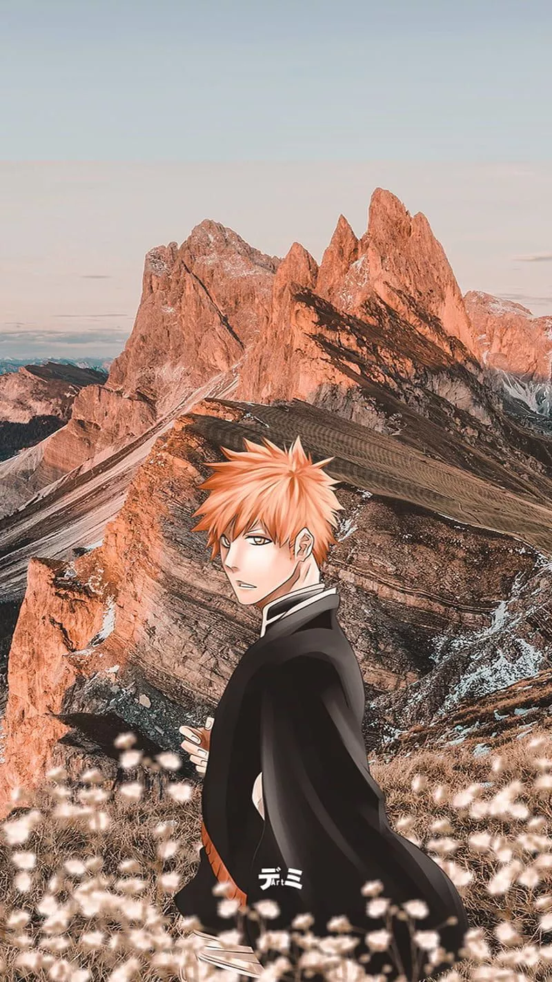 Ichigo Kurosaki, aesthetic, aesthetics