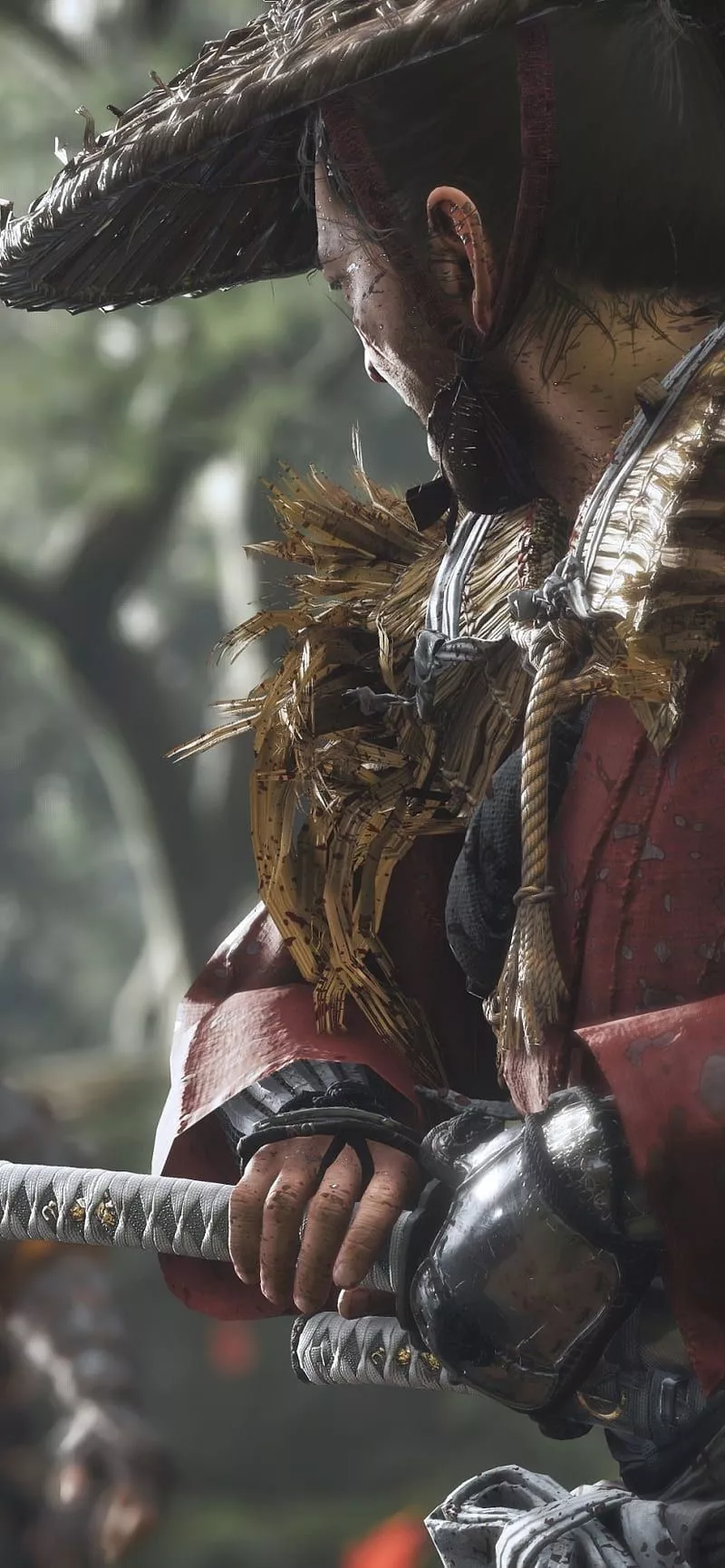 japan, jin sakai, mongols