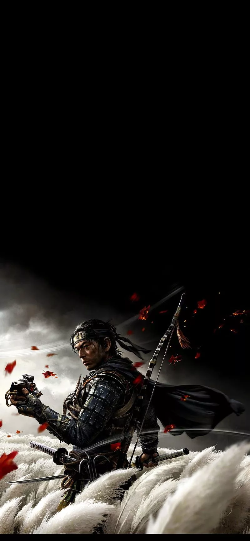 Ghost of Tsushima, flash graphy, games