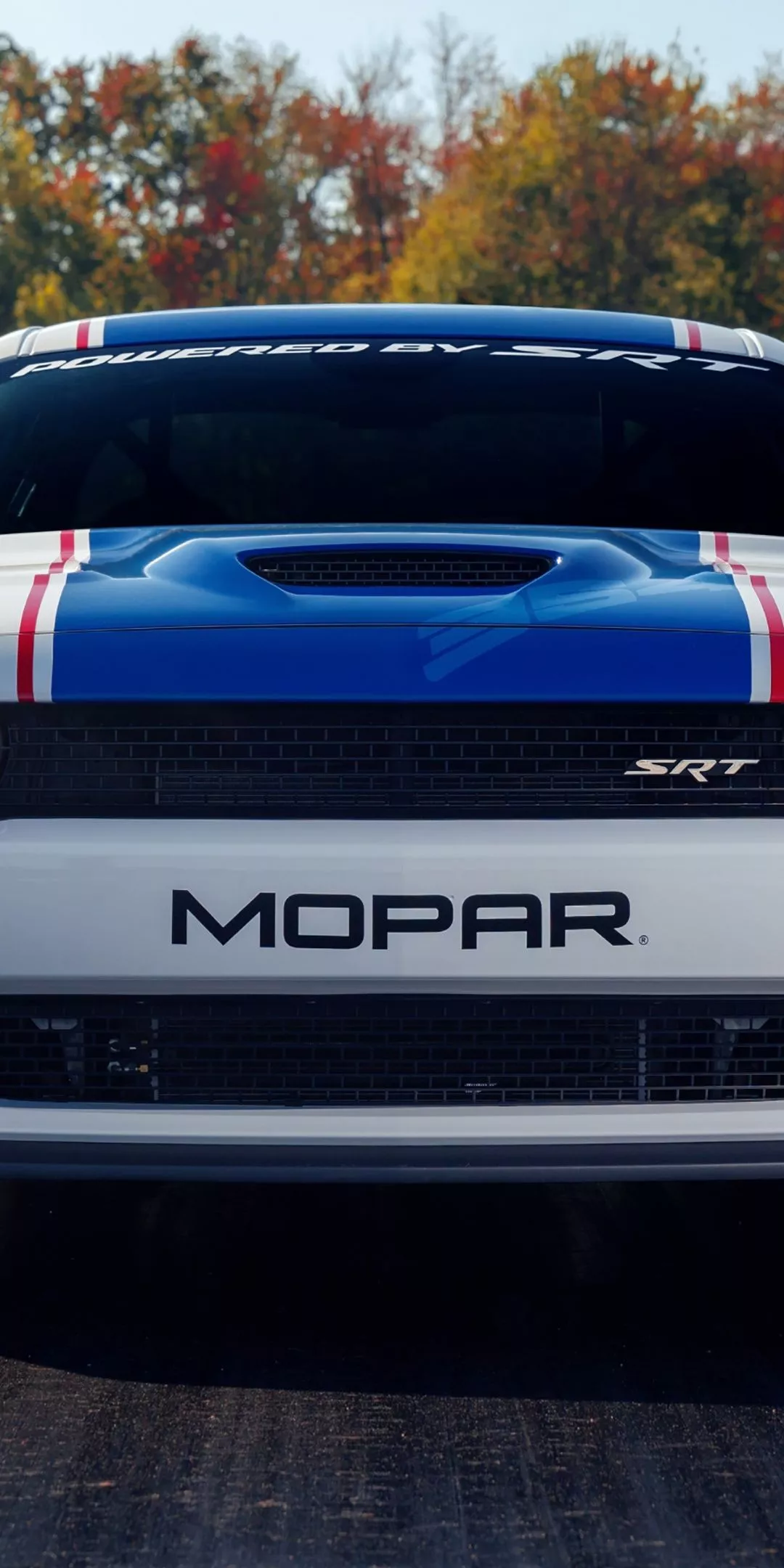 Mopar Dodge Challenger Drag Pak