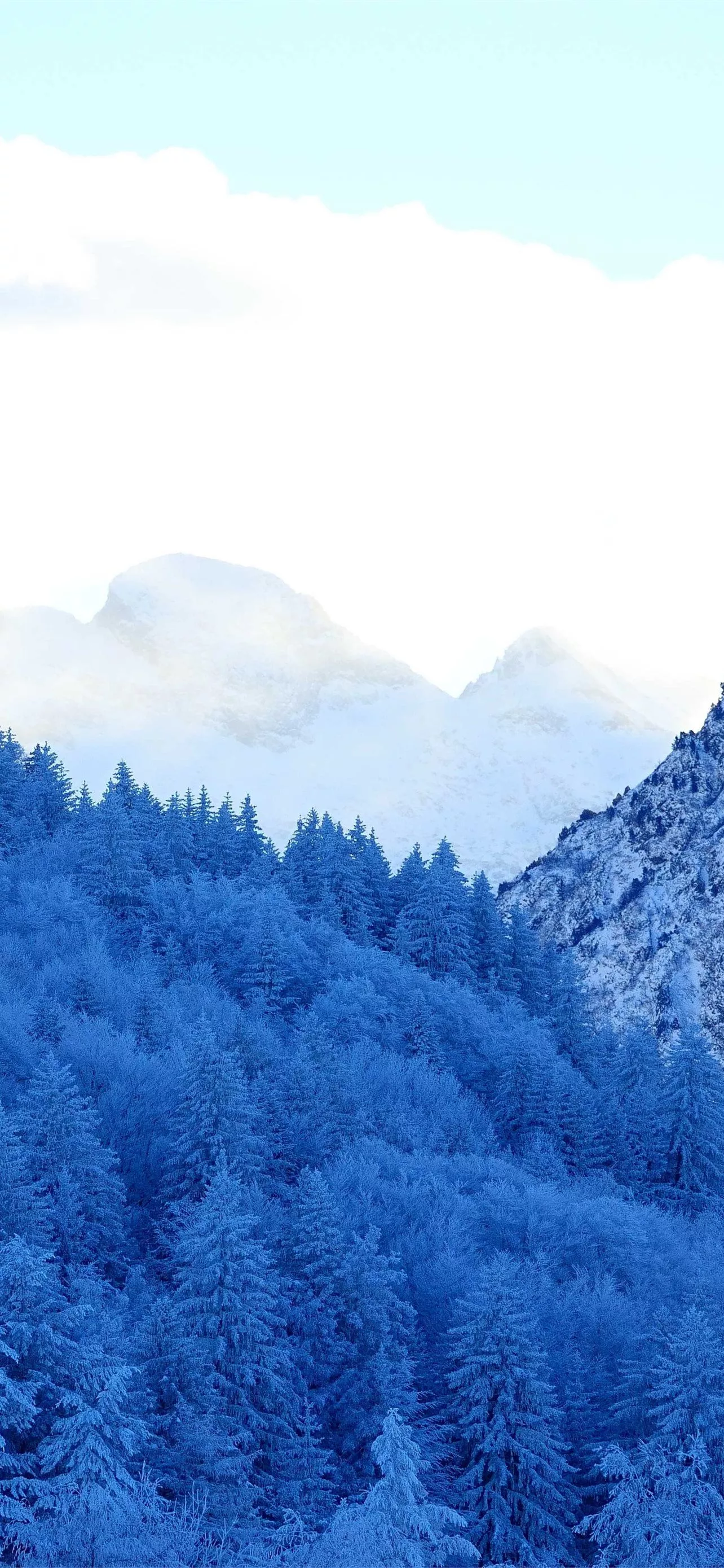 mountains snow fir forest winter iPhone