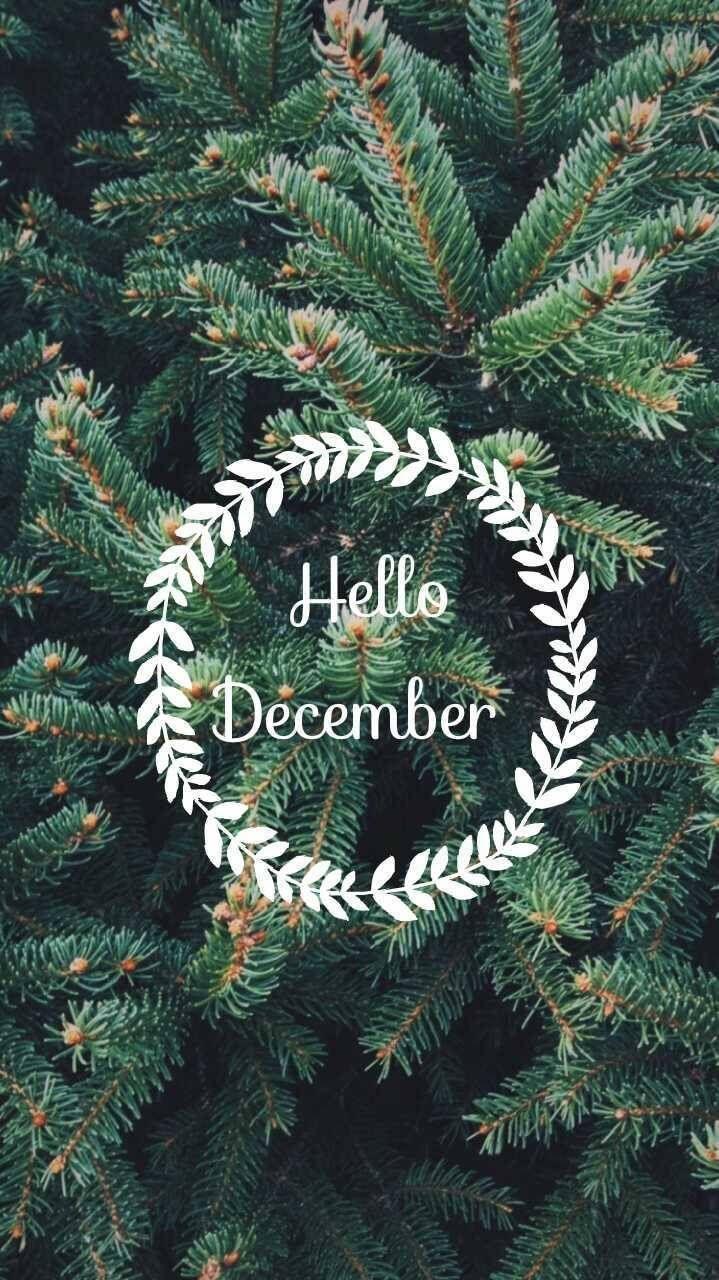 Download Hello December Christmas Tree