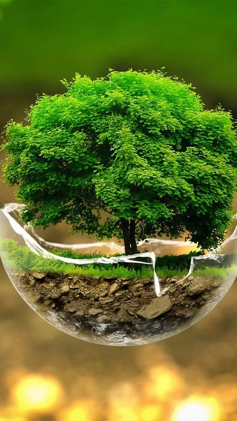 Green Tree, Glass Bowl, greenery