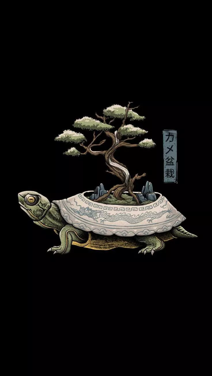 The Legendary Kame iPhone Wallpaper