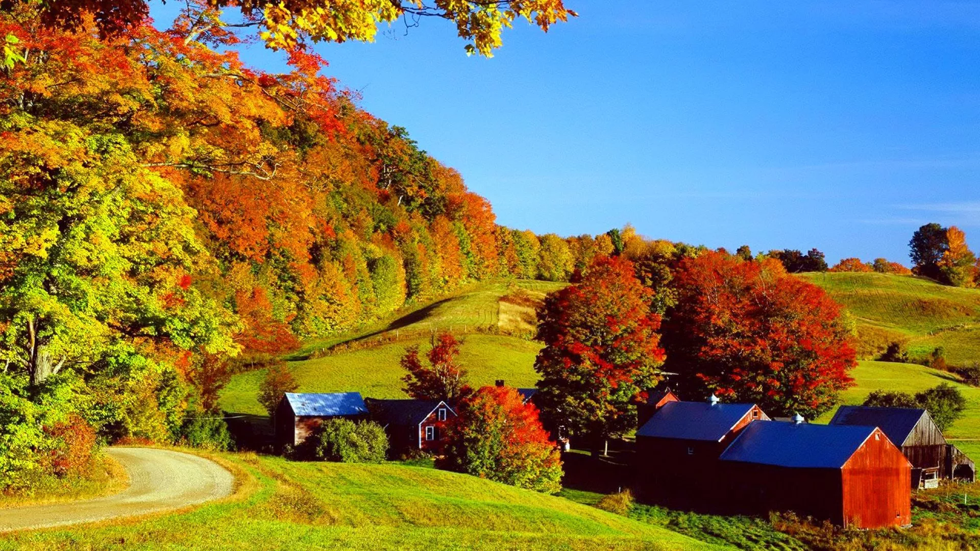 Colorful Autumn Trees Covered Village