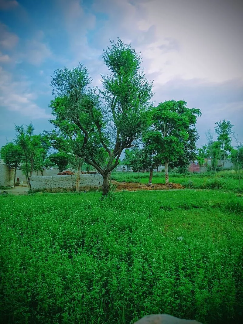 HD village life wallpaper