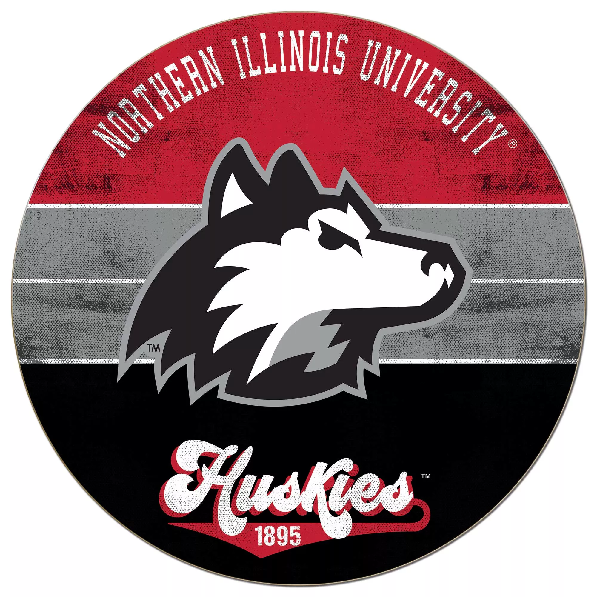 Northern Illinois Huskies 20'' x 20