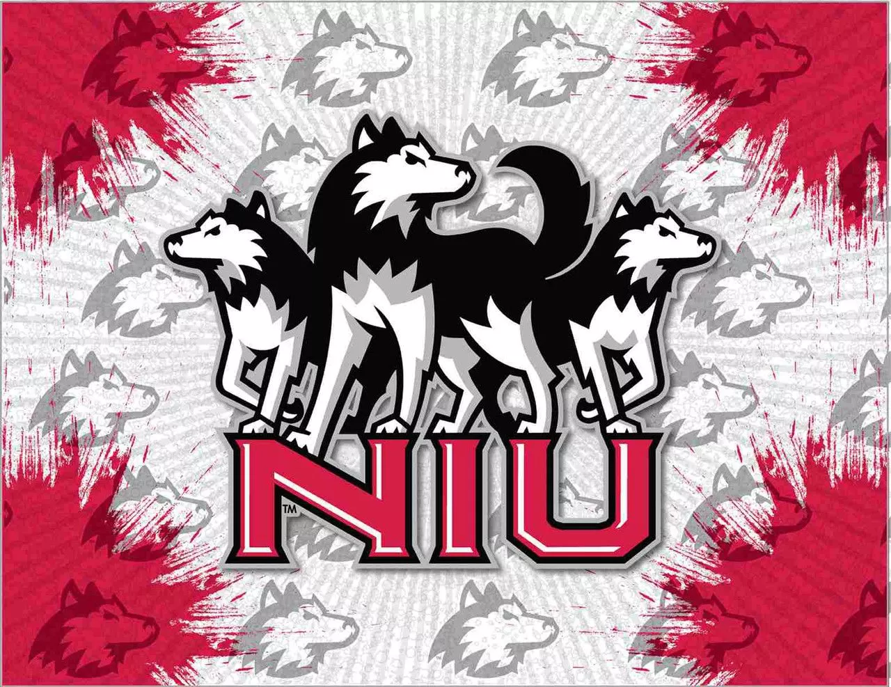 Northern Illinois Huskies Logo Canvas
