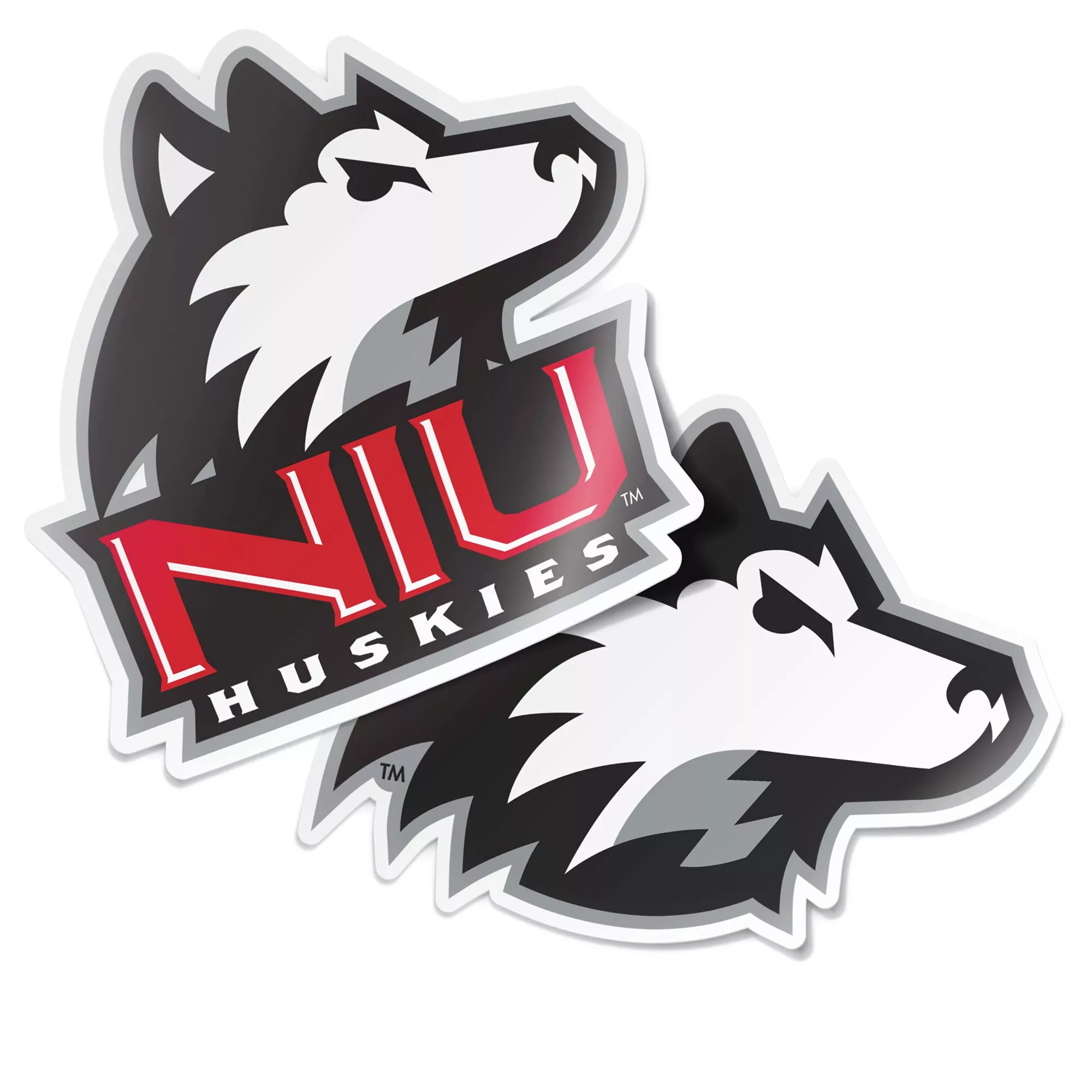 Desert Cactus Northern Illinois