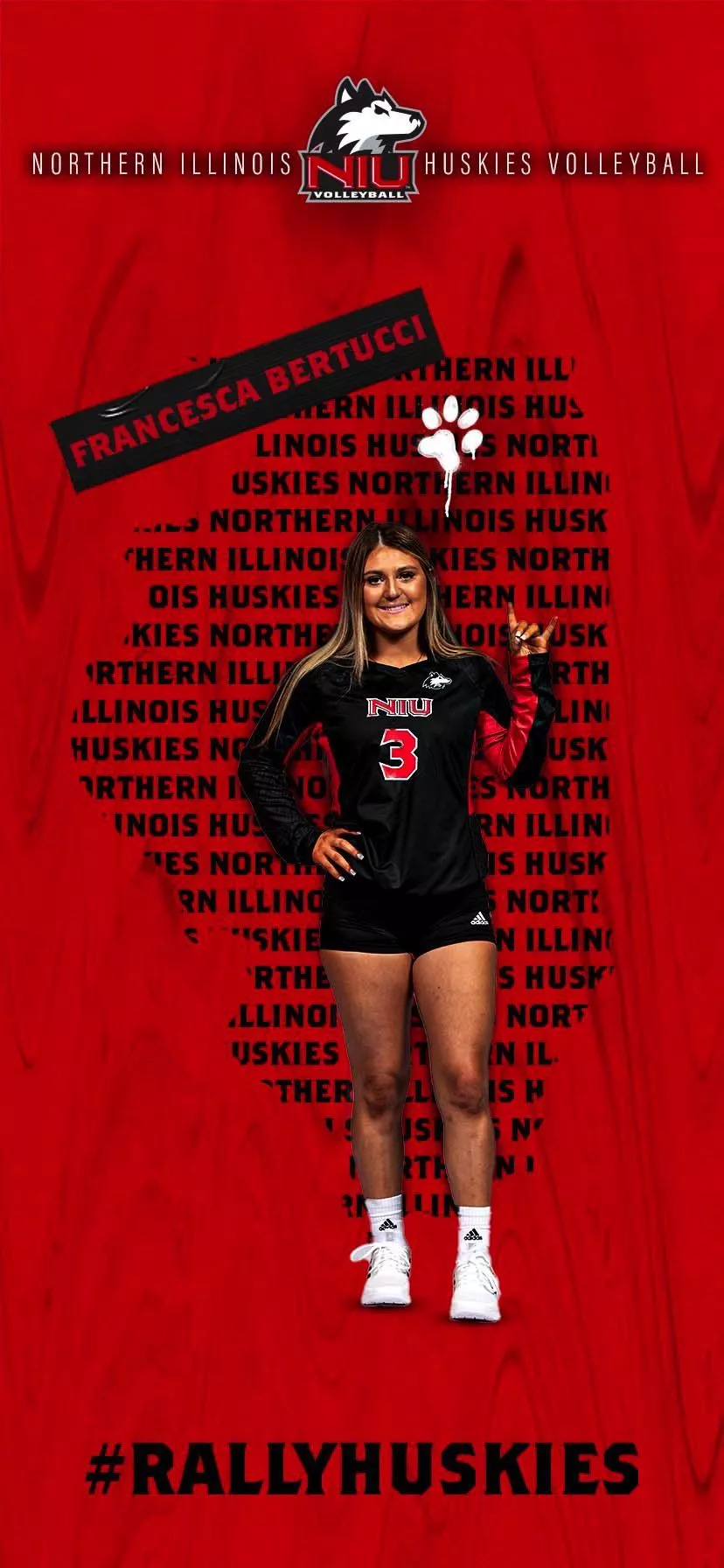 NIU Volleyball