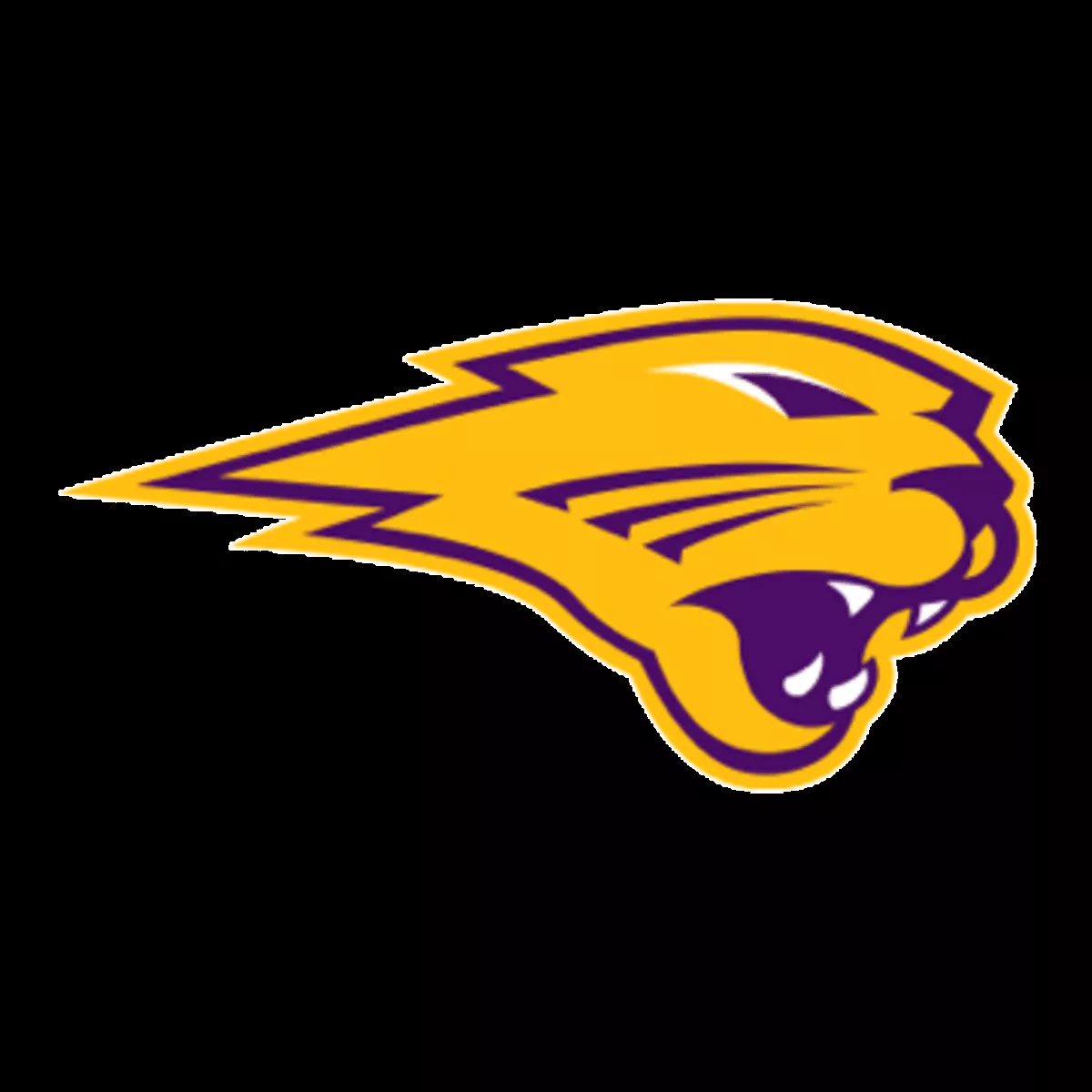 UNI Panthers Stats