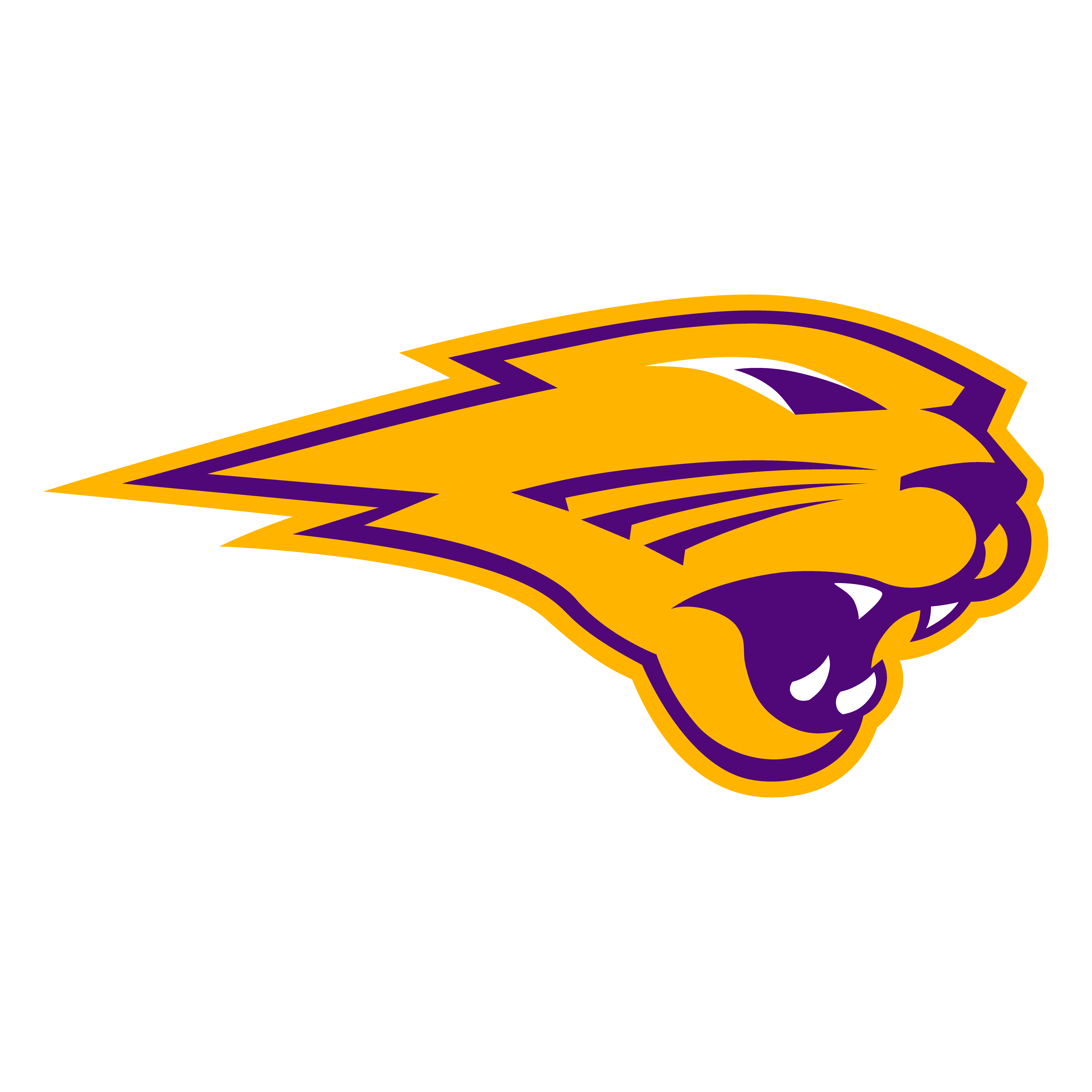 Northern Iowa Panthers Scores, Stats