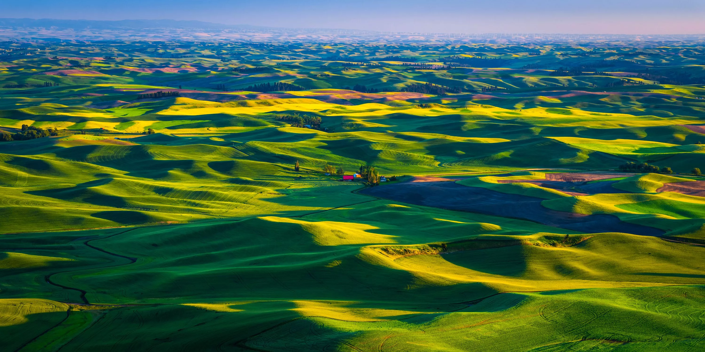 Grassland HD Landscape Photography