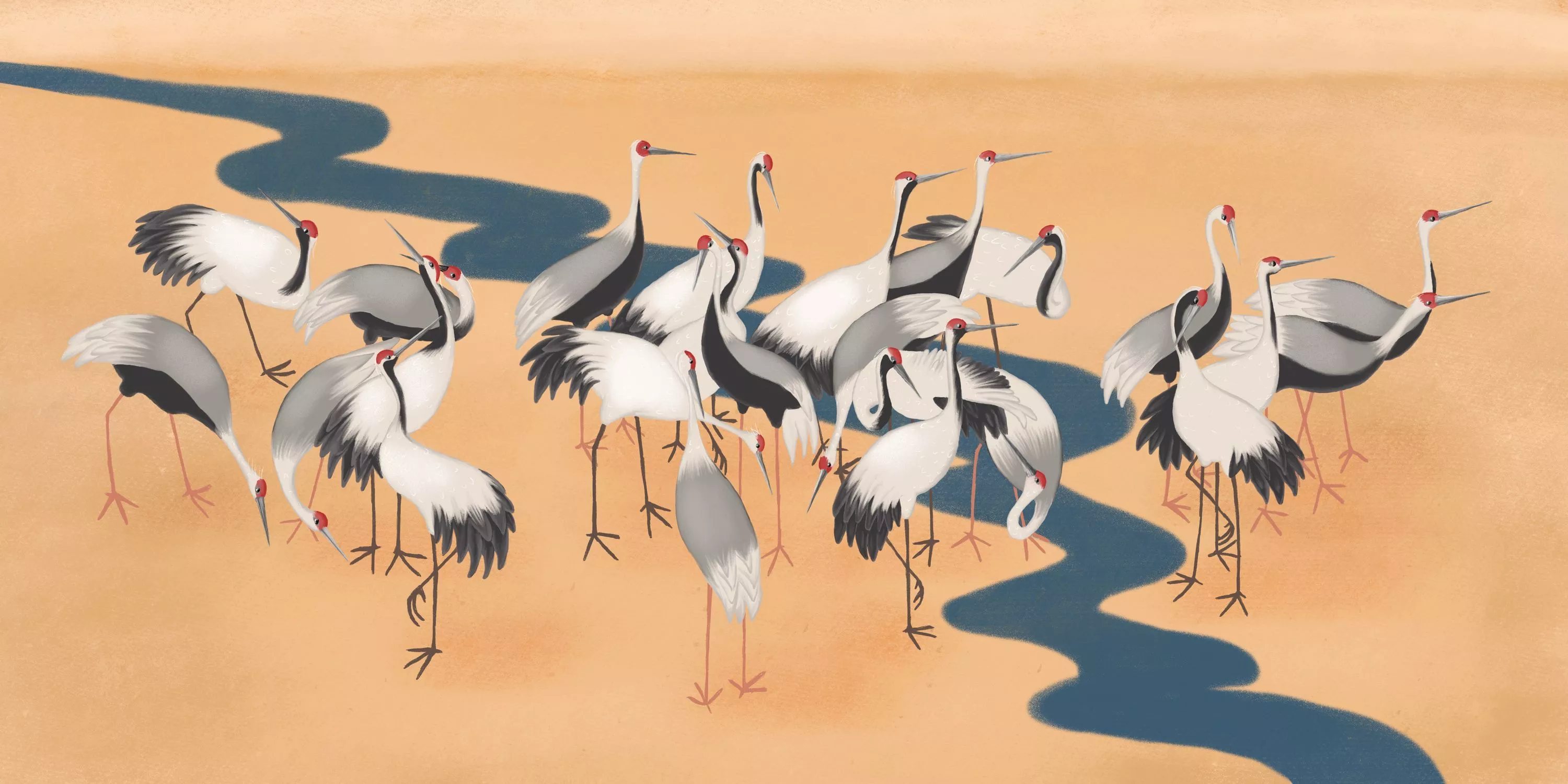 Animals wallpaper for your wall ➡️