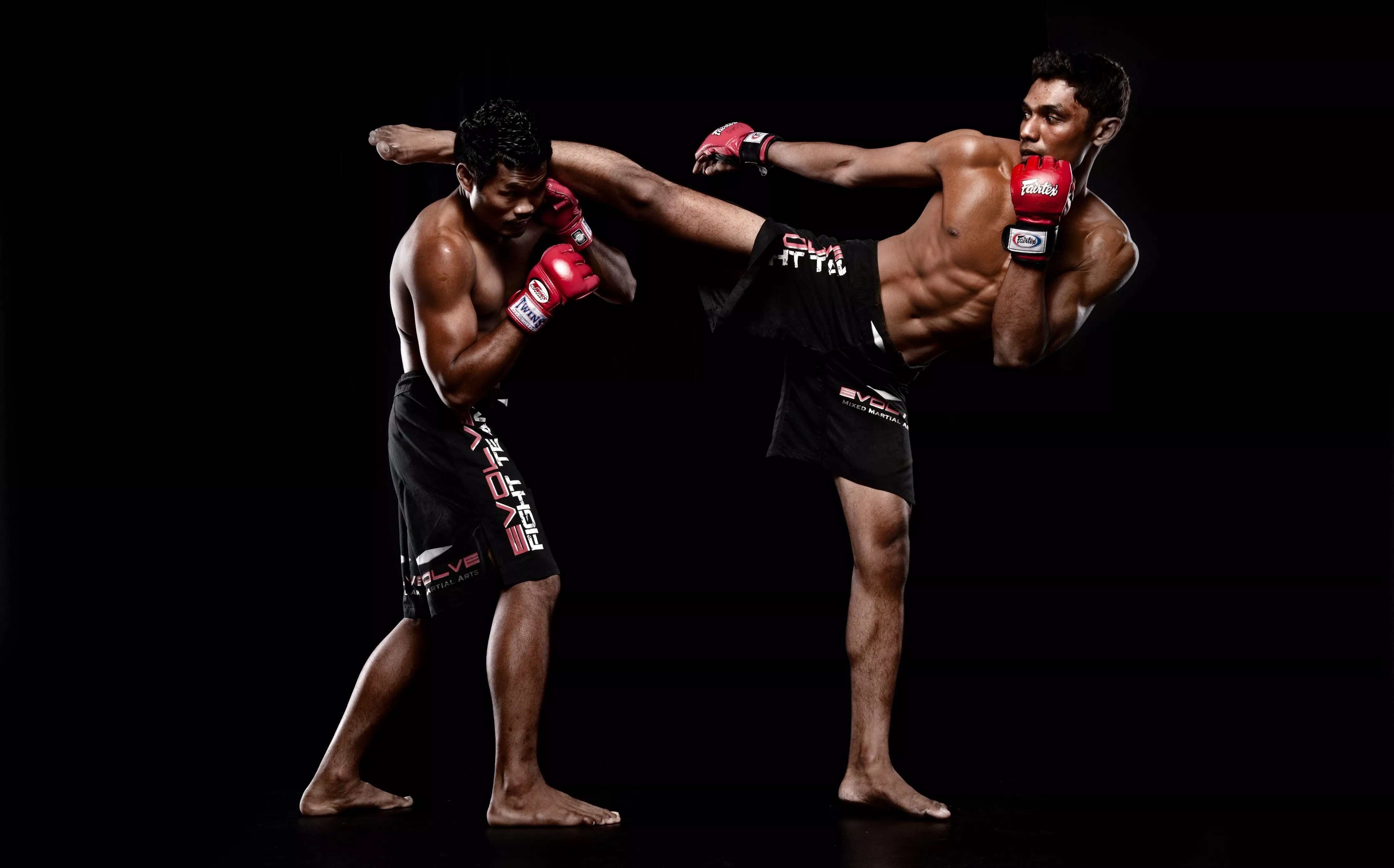 HD wallpaper: MMA Fighters, mixed