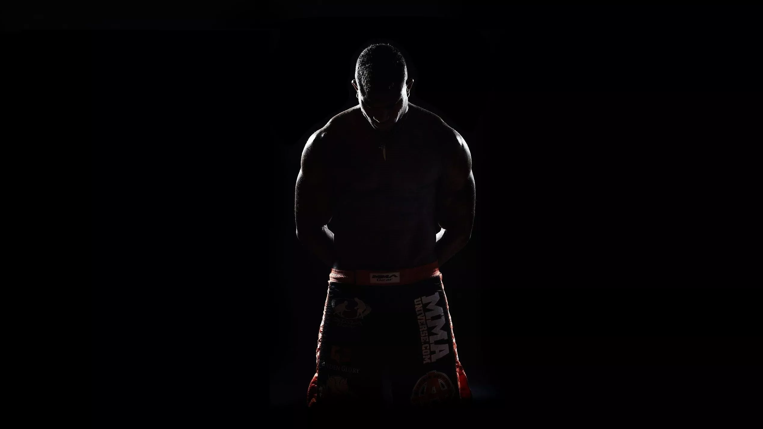 Mixed Martial Arts Champions